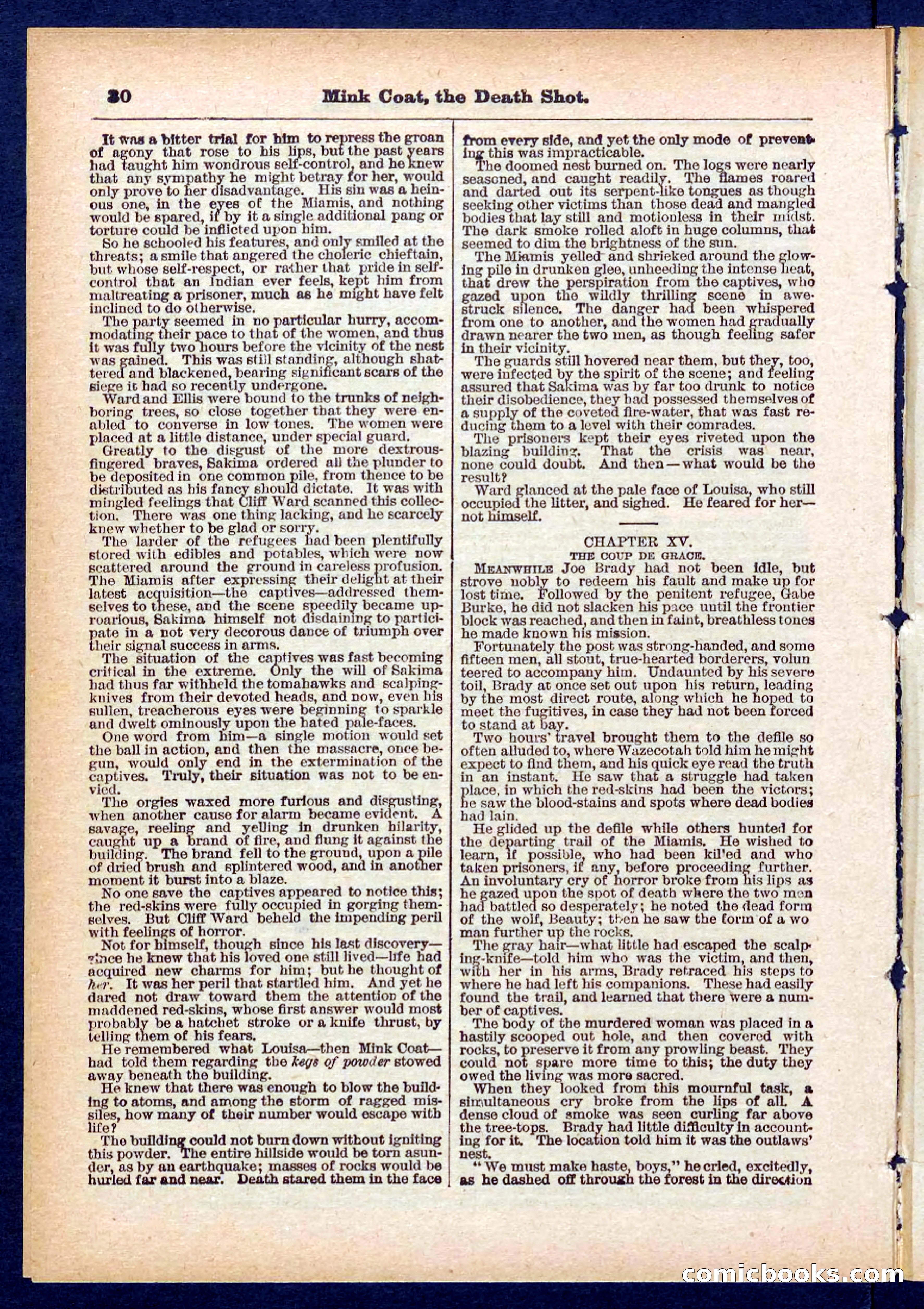 Beadle's Pocket Library No. 440: The Death Shot — page 30 of 32