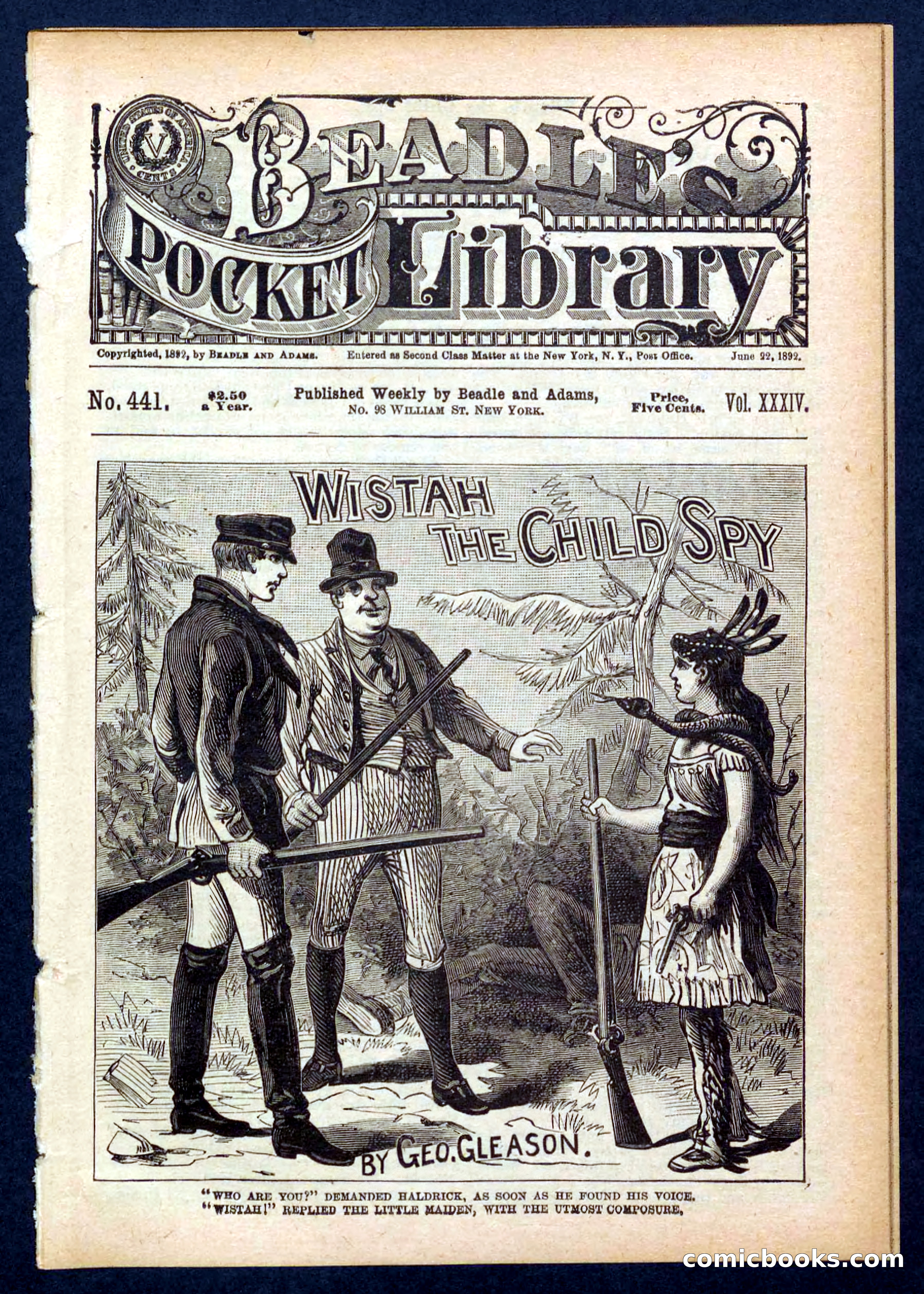 Beadle's Pocket Library No. 441