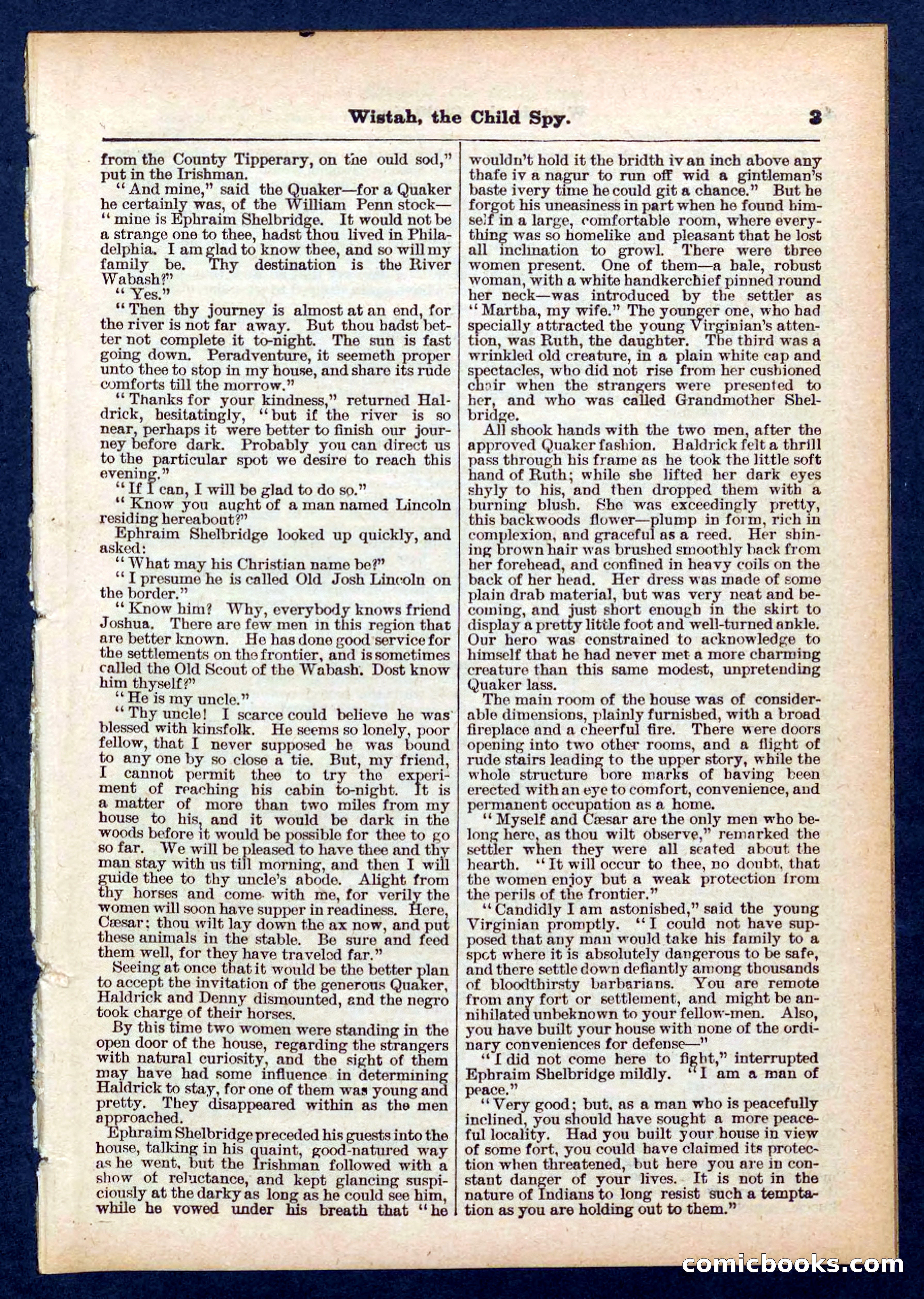 Beadle's Pocket Library No. 441 — page 3 of 32