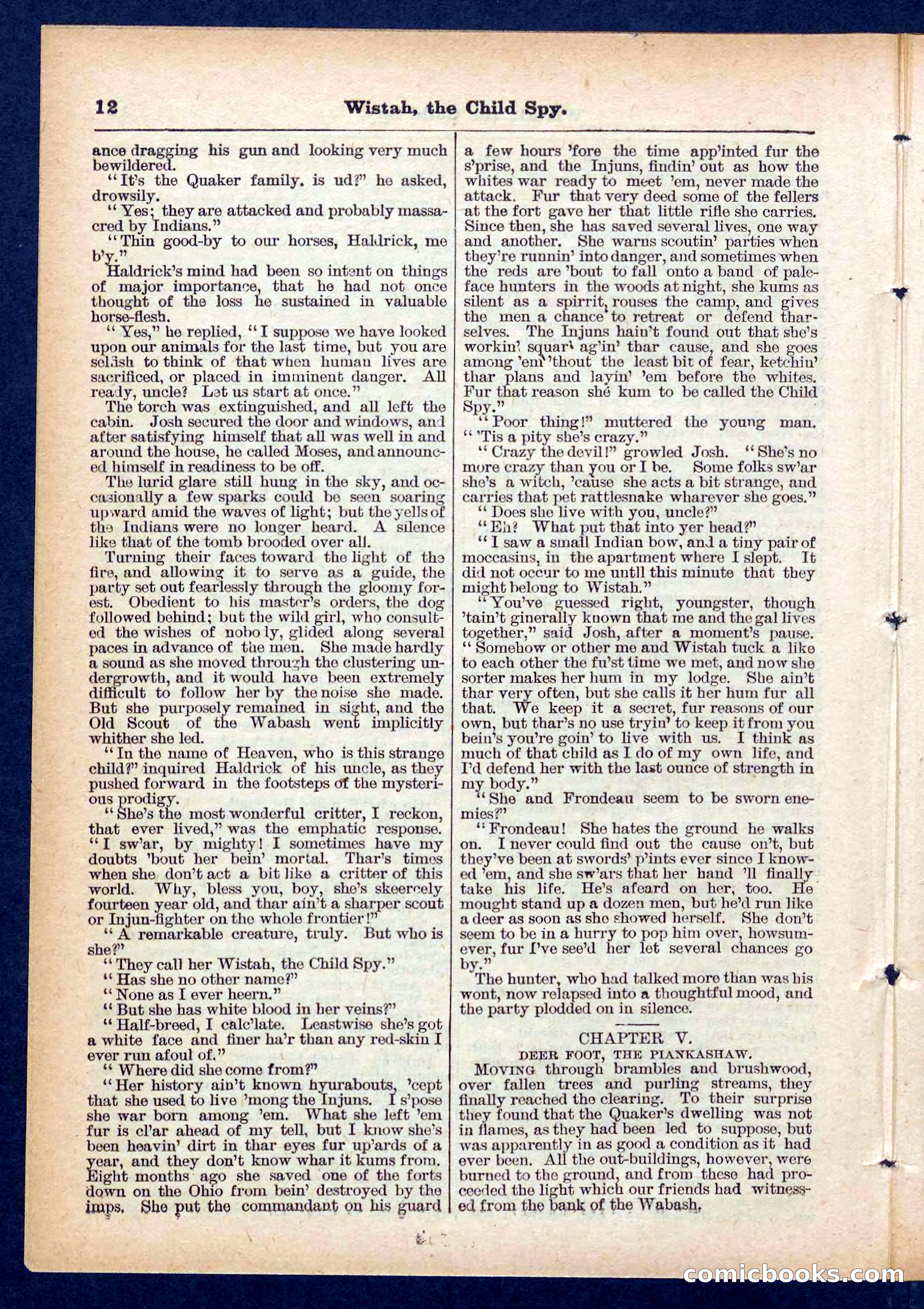 Beadle's Pocket Library No. 441 — page 12 of 32