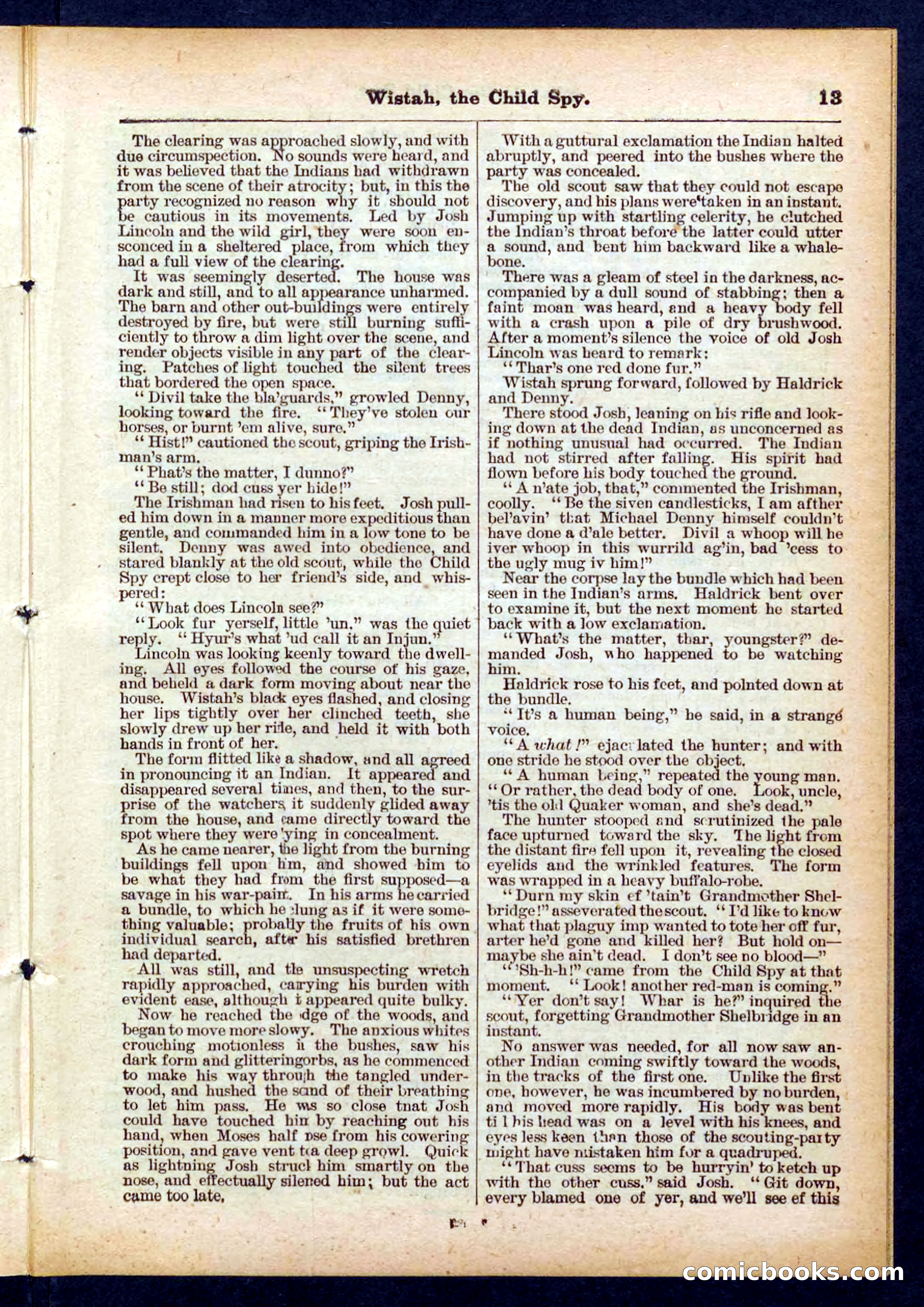 Beadle's Pocket Library No. 441 — page 13 of 32