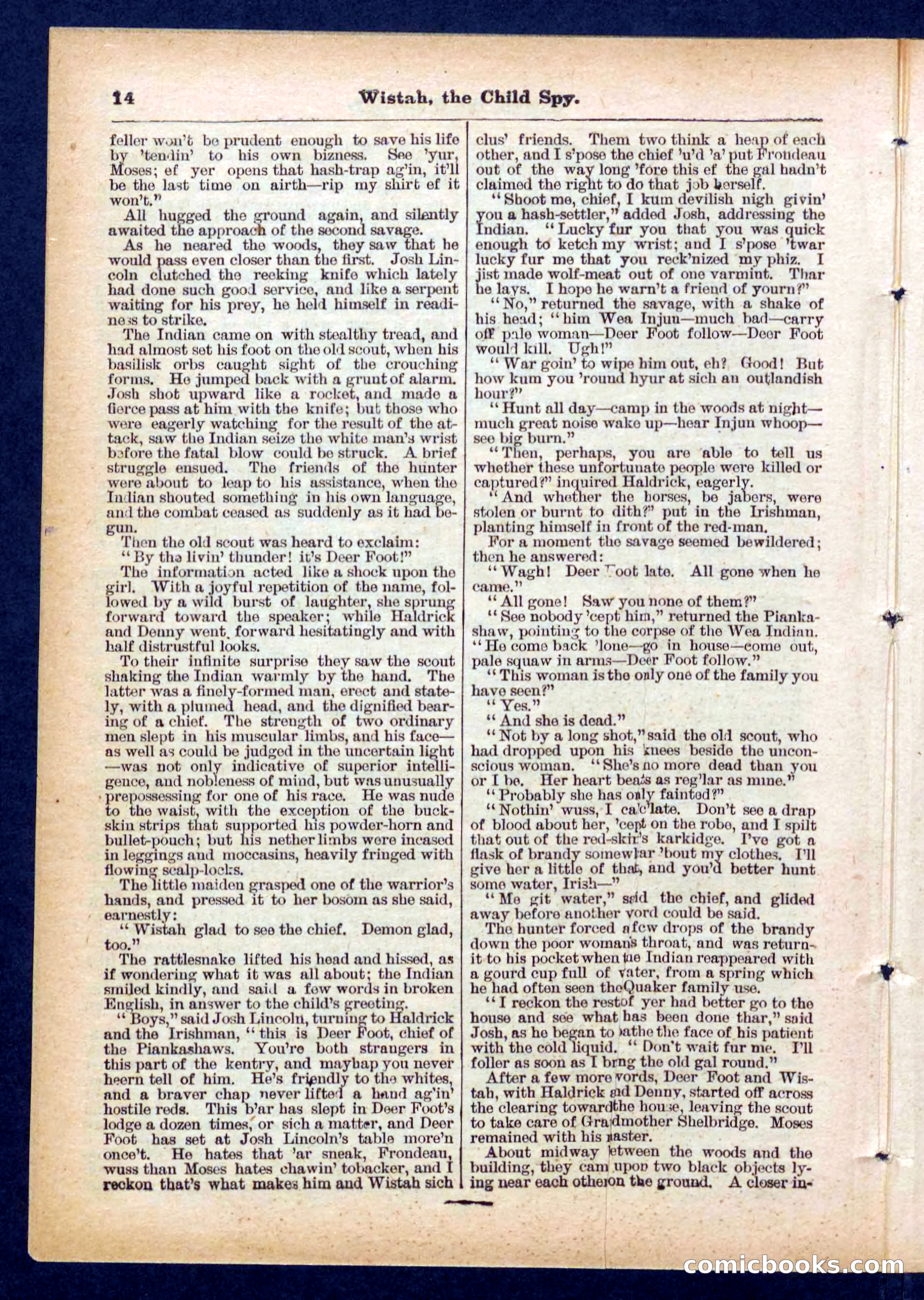 Beadle's Pocket Library No. 441 — page 14 of 32