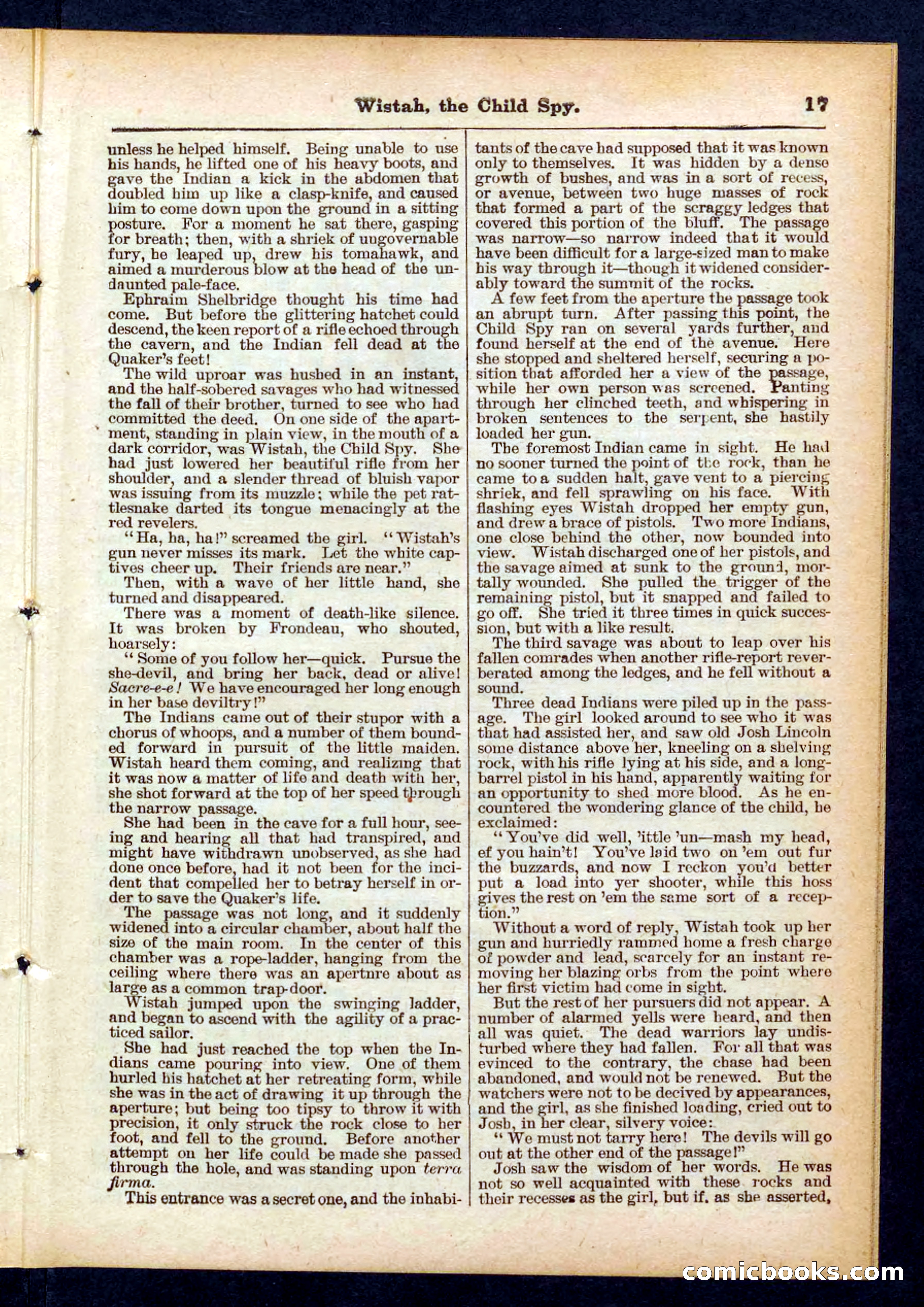 Beadle's Pocket Library No. 441 — page 17 of 32