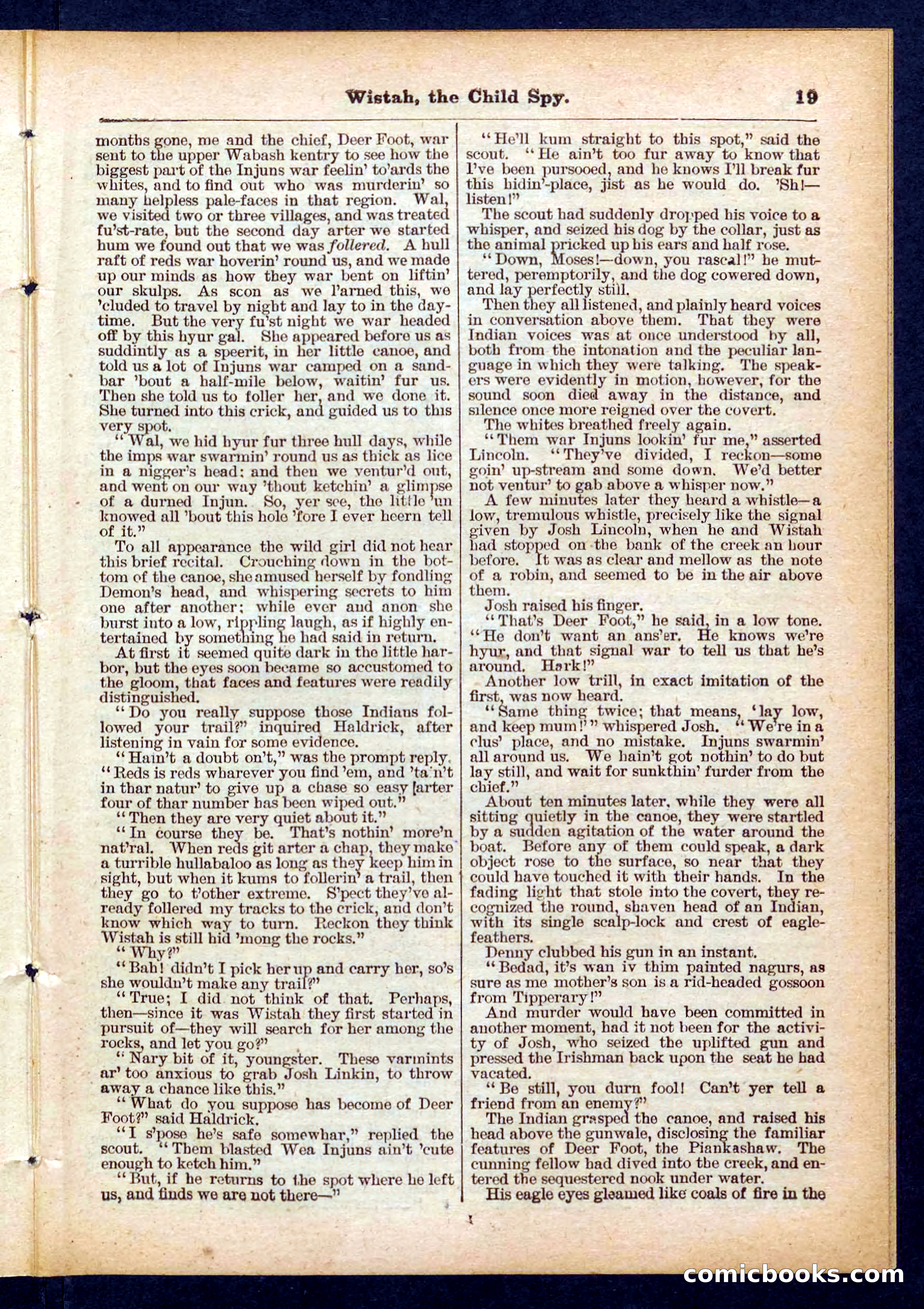 Beadle's Pocket Library No. 441 — page 19 of 32