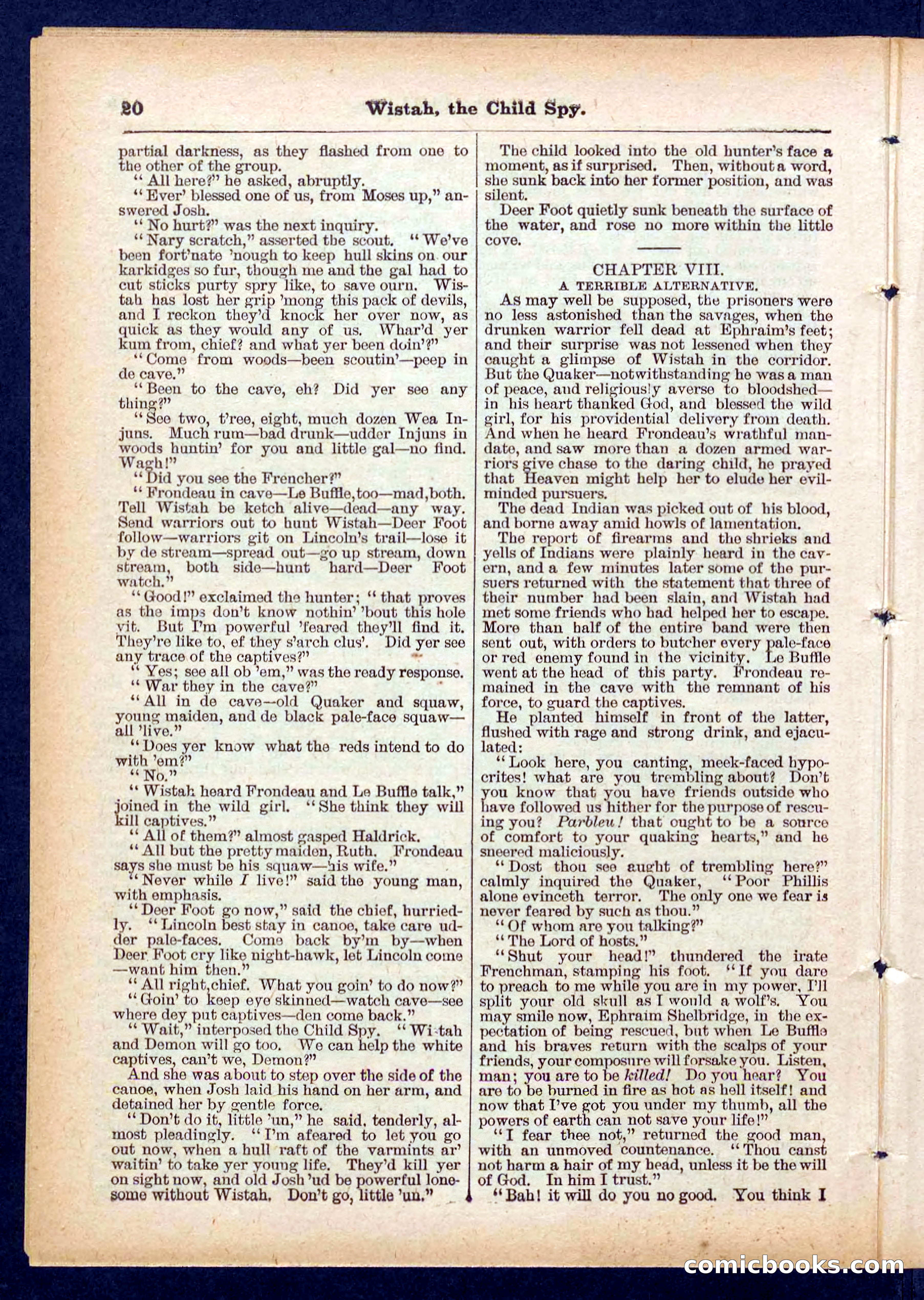 Beadle's Pocket Library No. 441 — page 20 of 32