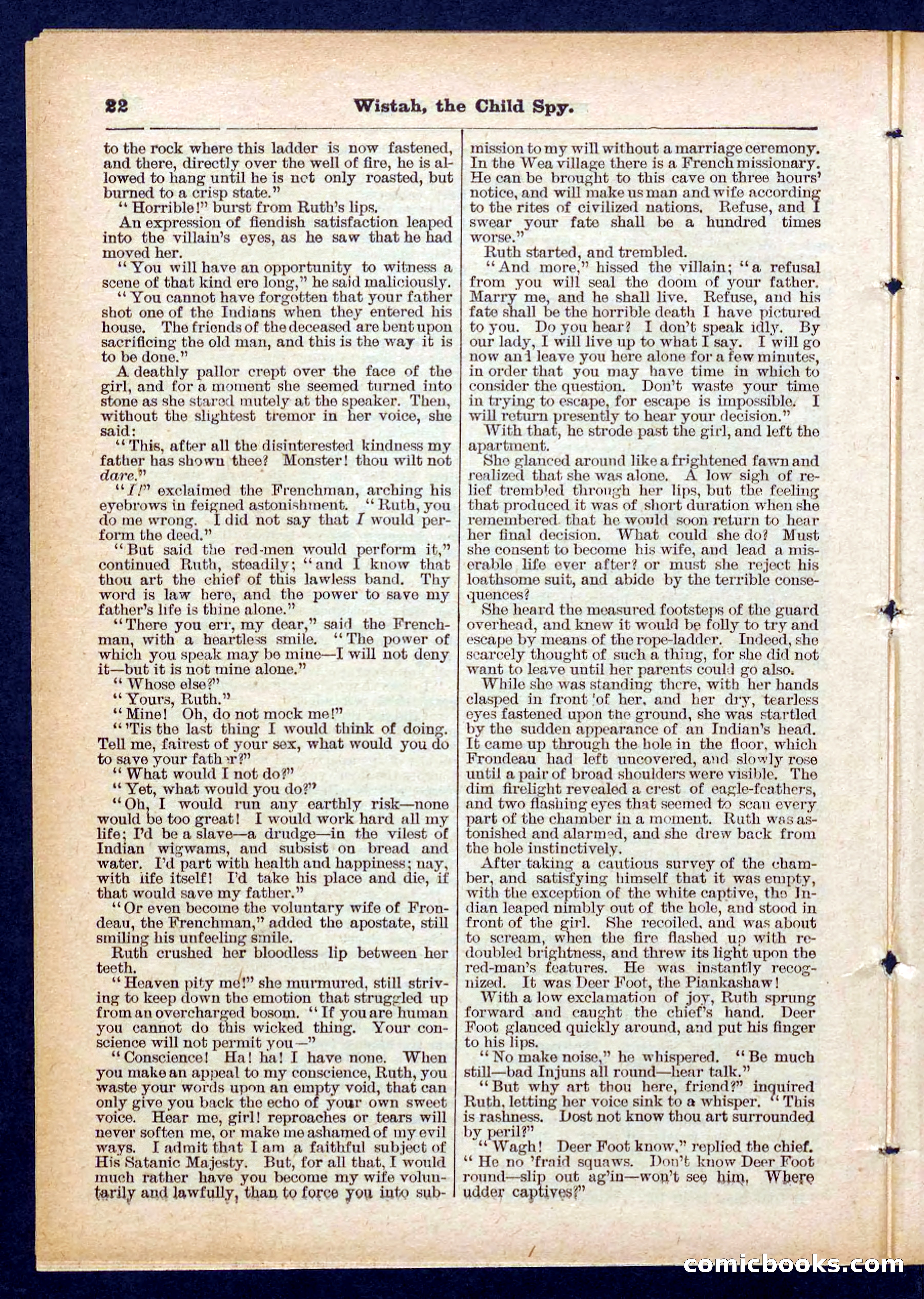 Beadle's Pocket Library No. 441 — page 22 of 32