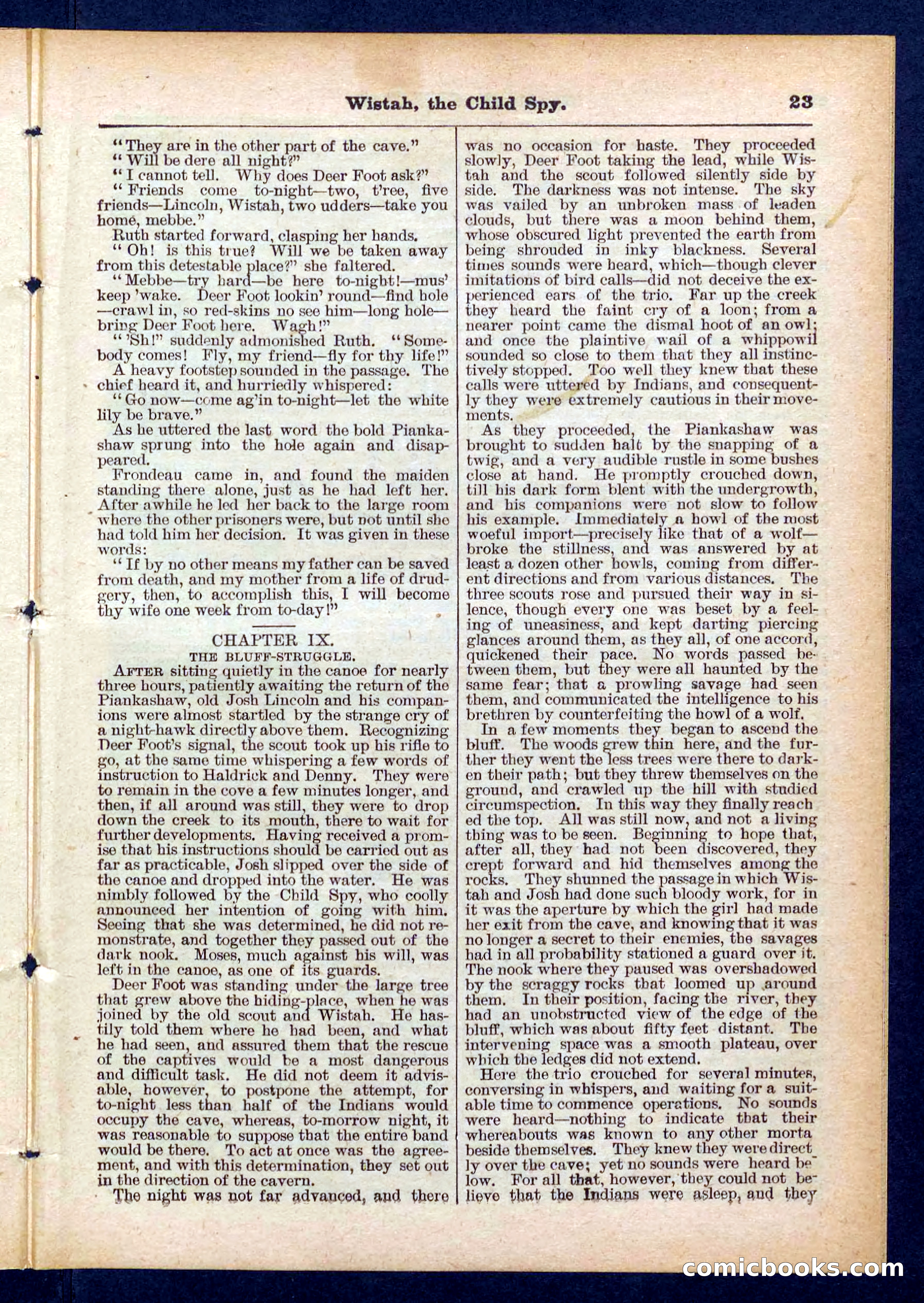 Beadle's Pocket Library No. 441 — page 23 of 32