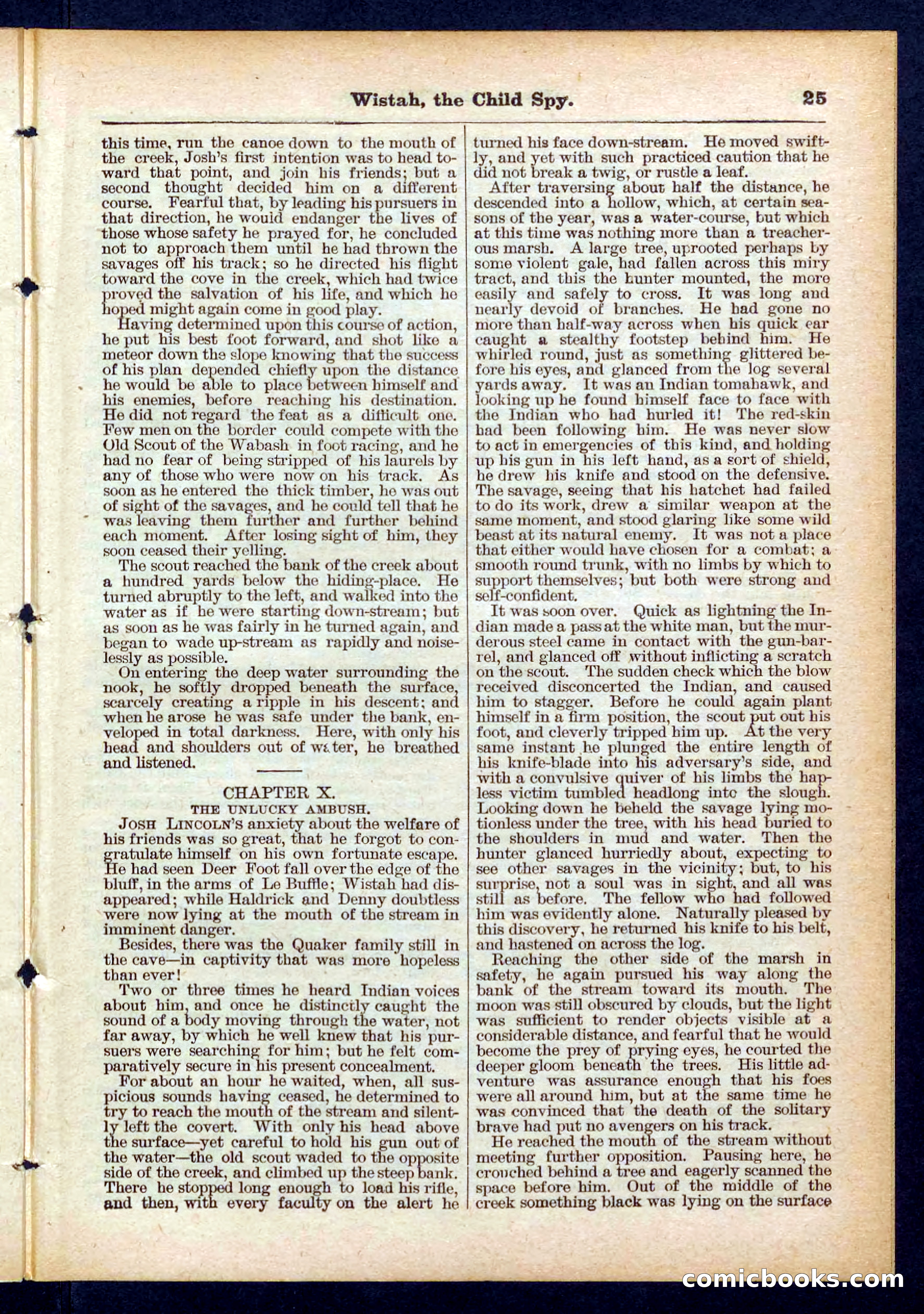 Beadle's Pocket Library No. 441 — page 25 of 32