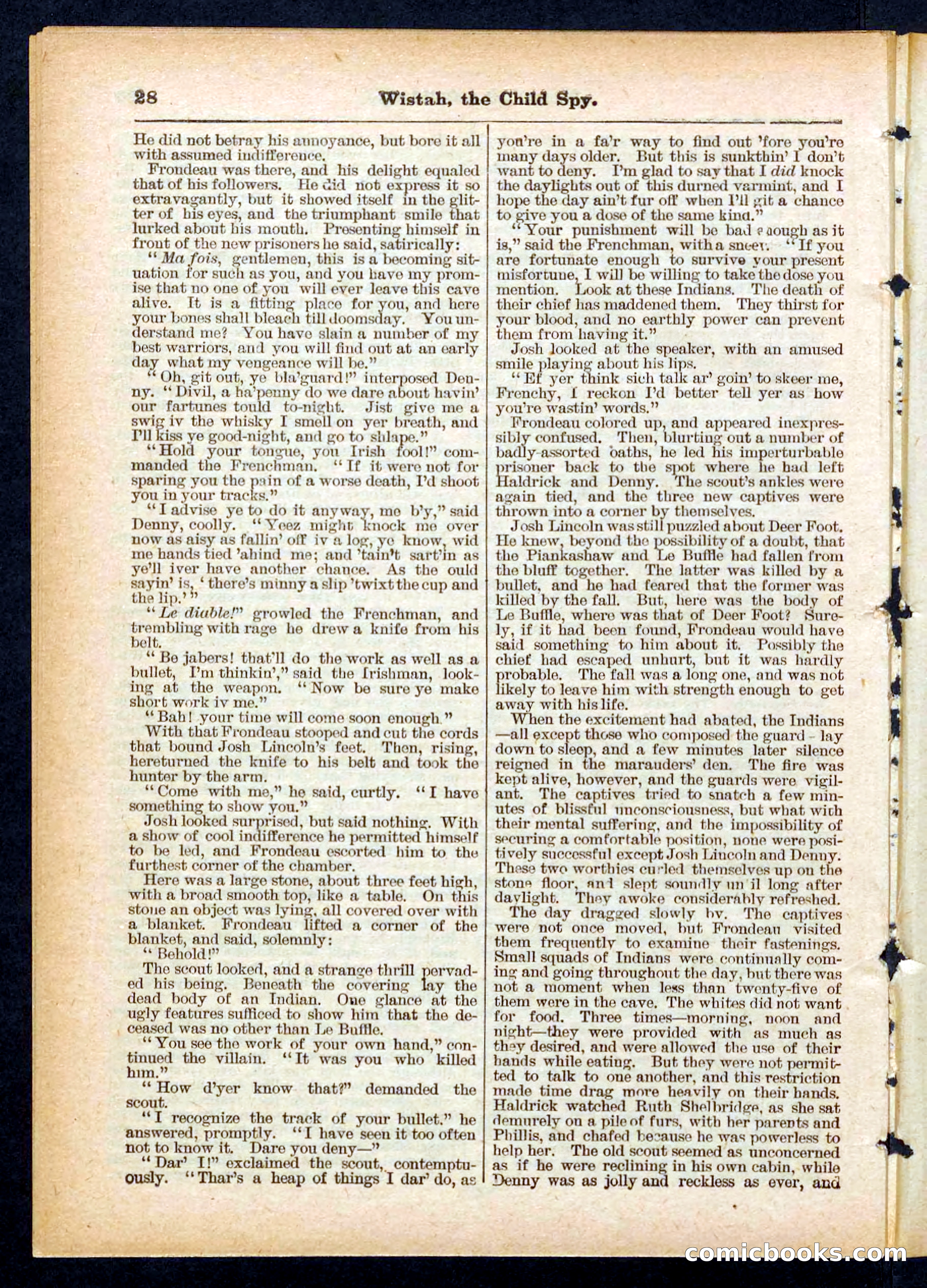 Beadle's Pocket Library No. 441 — page 28 of 32