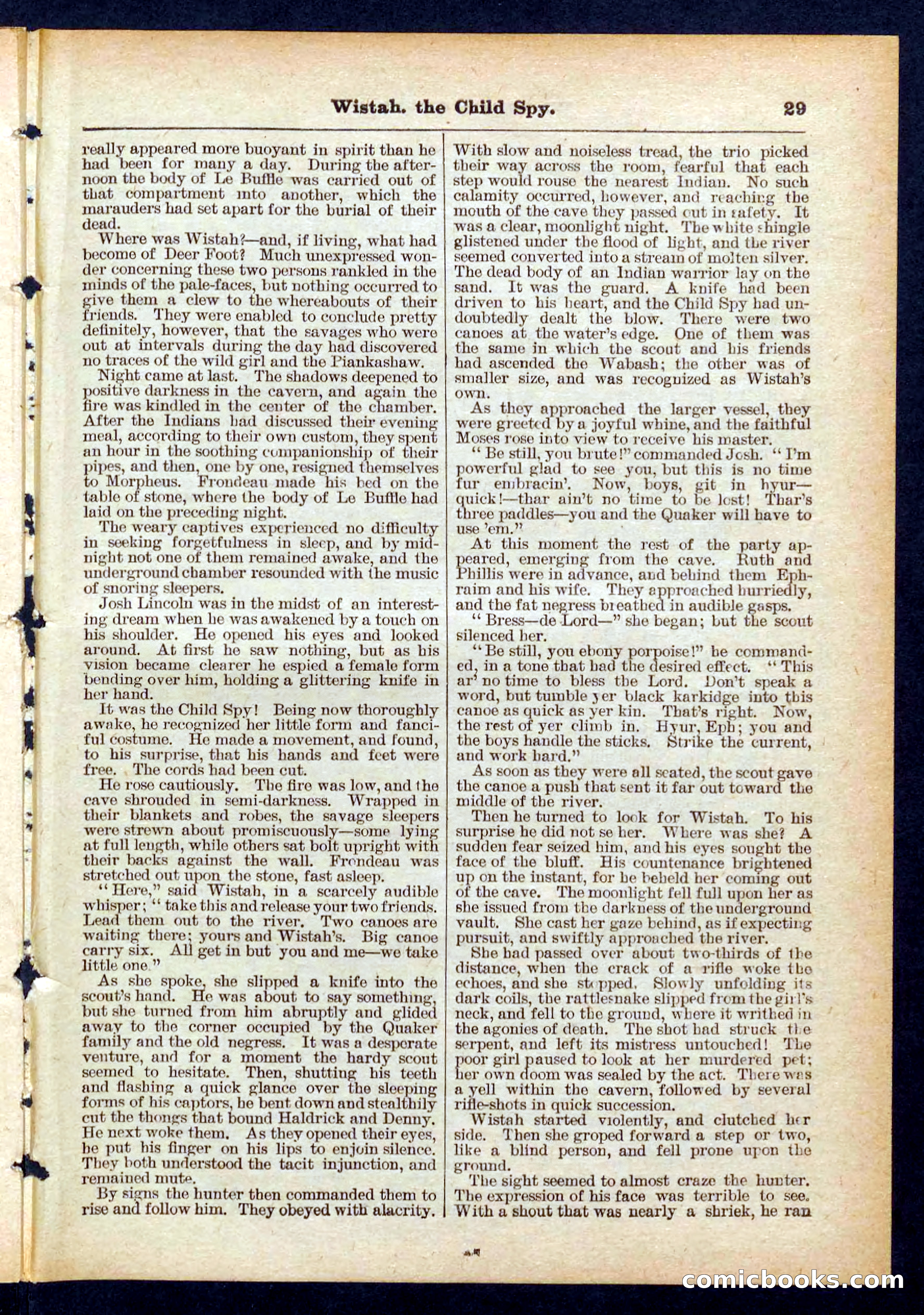 Beadle's Pocket Library No. 441 — page 29 of 32