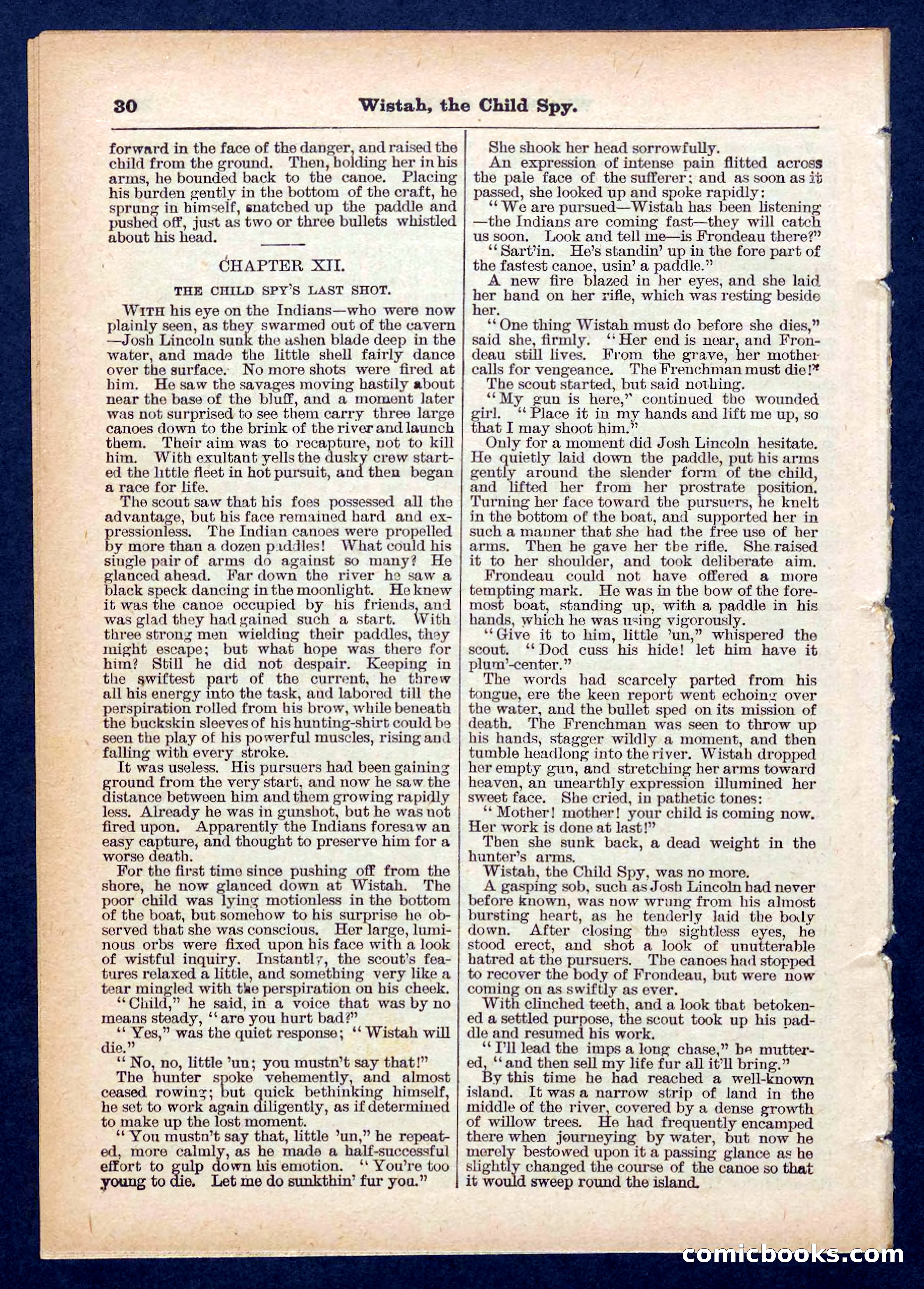 Beadle's Pocket Library No. 441 — page 30 of 32