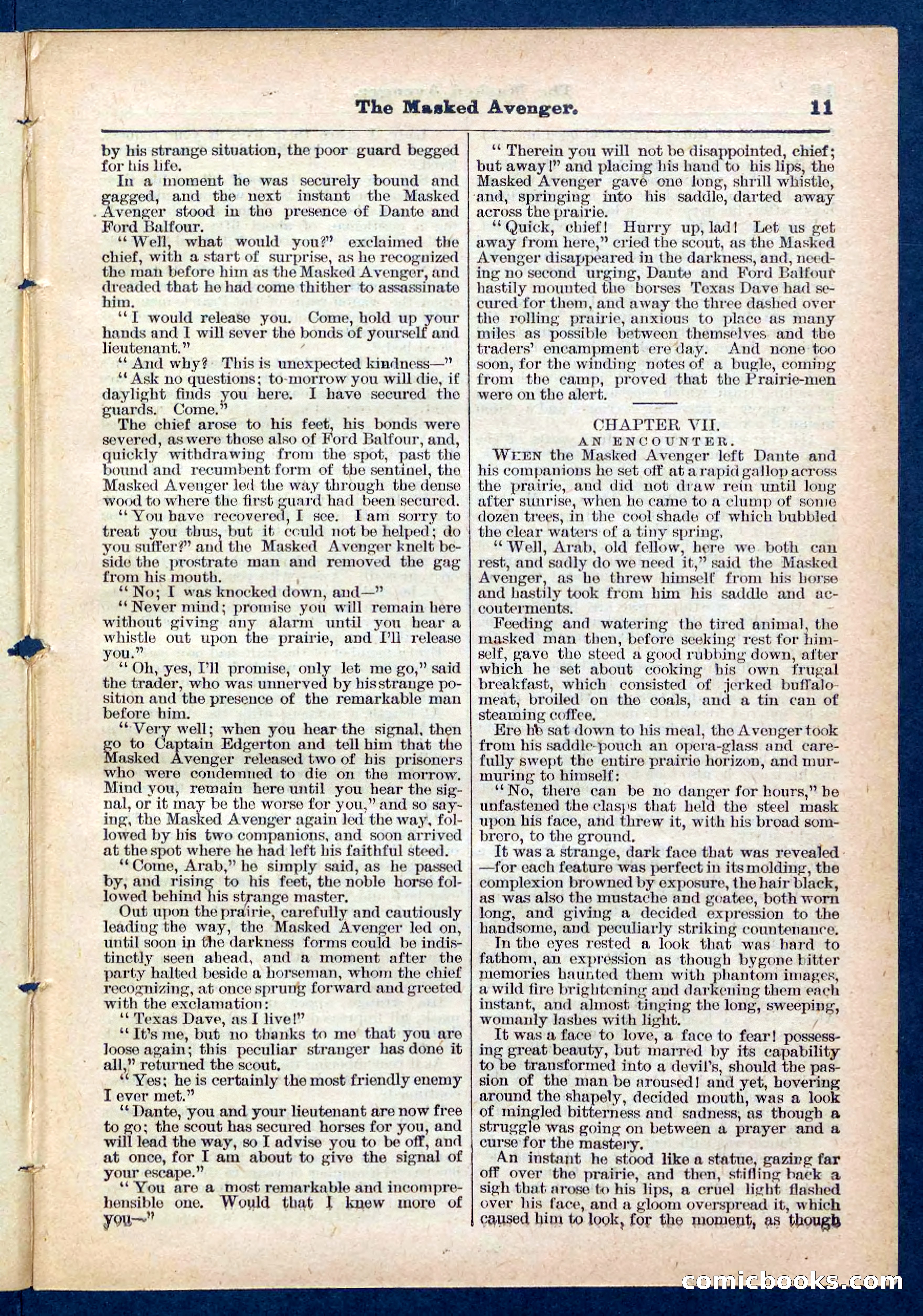Beadle's Pocket Library No. 443 — page 11 of 32