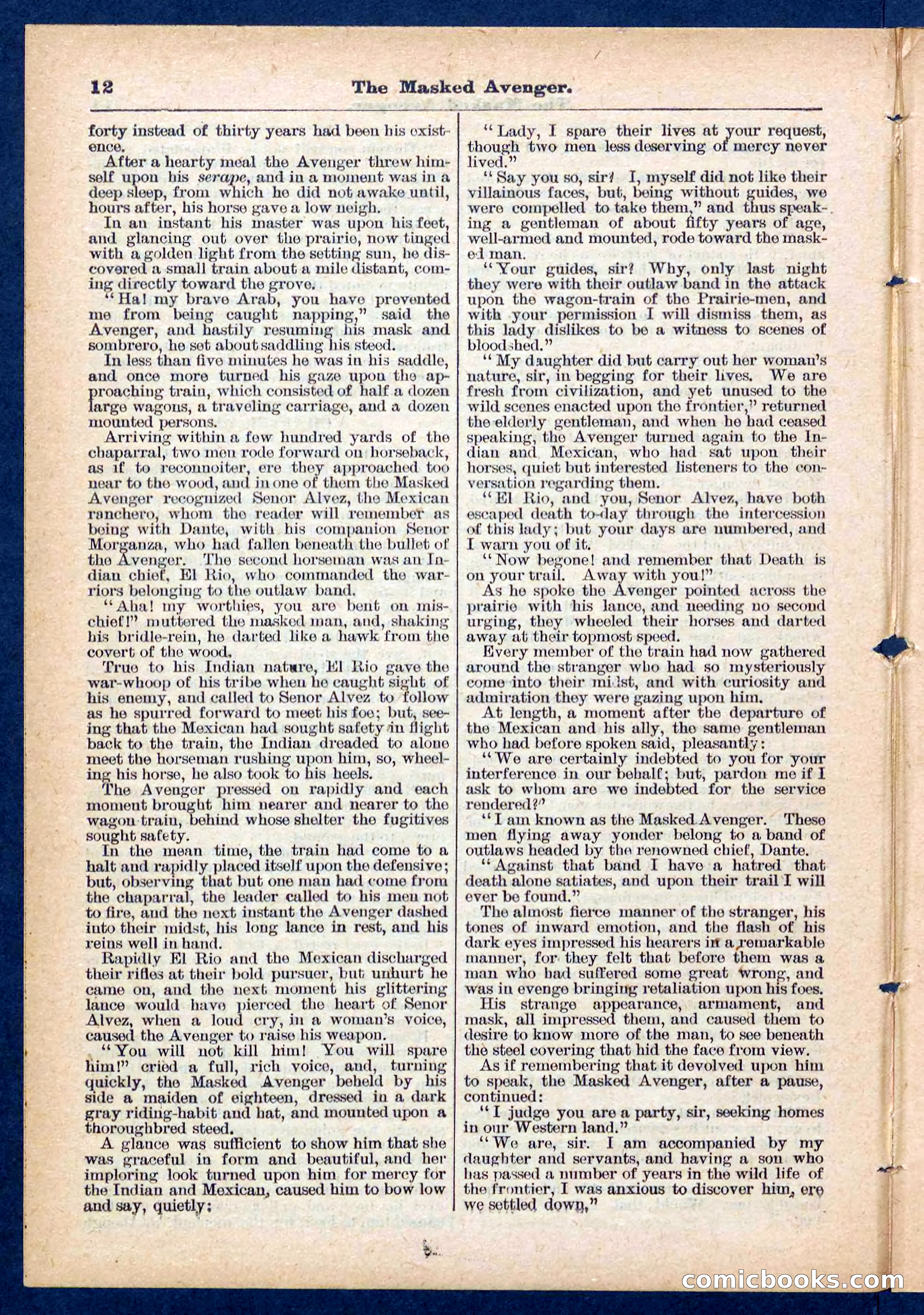 Beadle's Pocket Library No. 443 — page 12 of 32