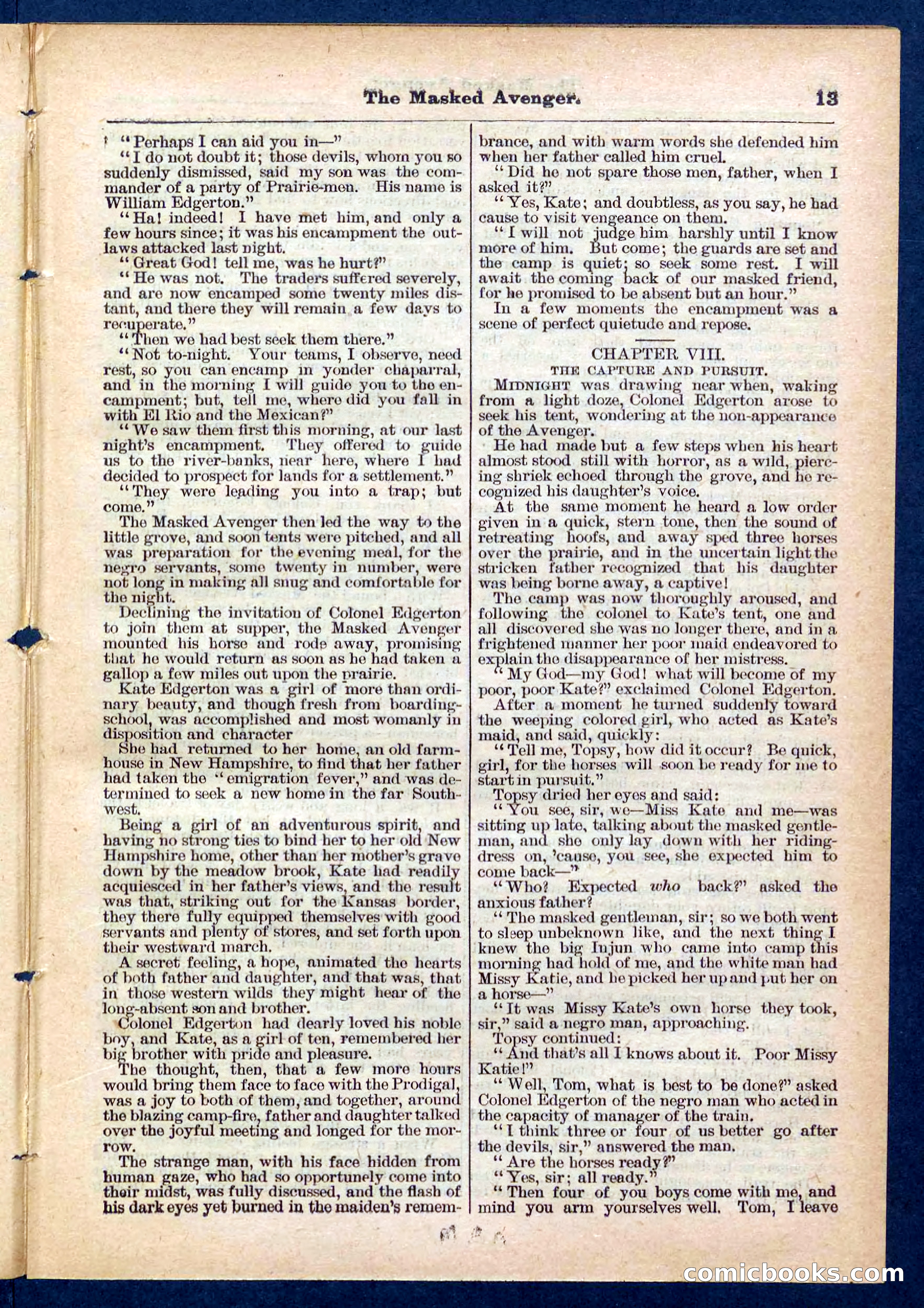 Beadle's Pocket Library No. 443 — page 13 of 32