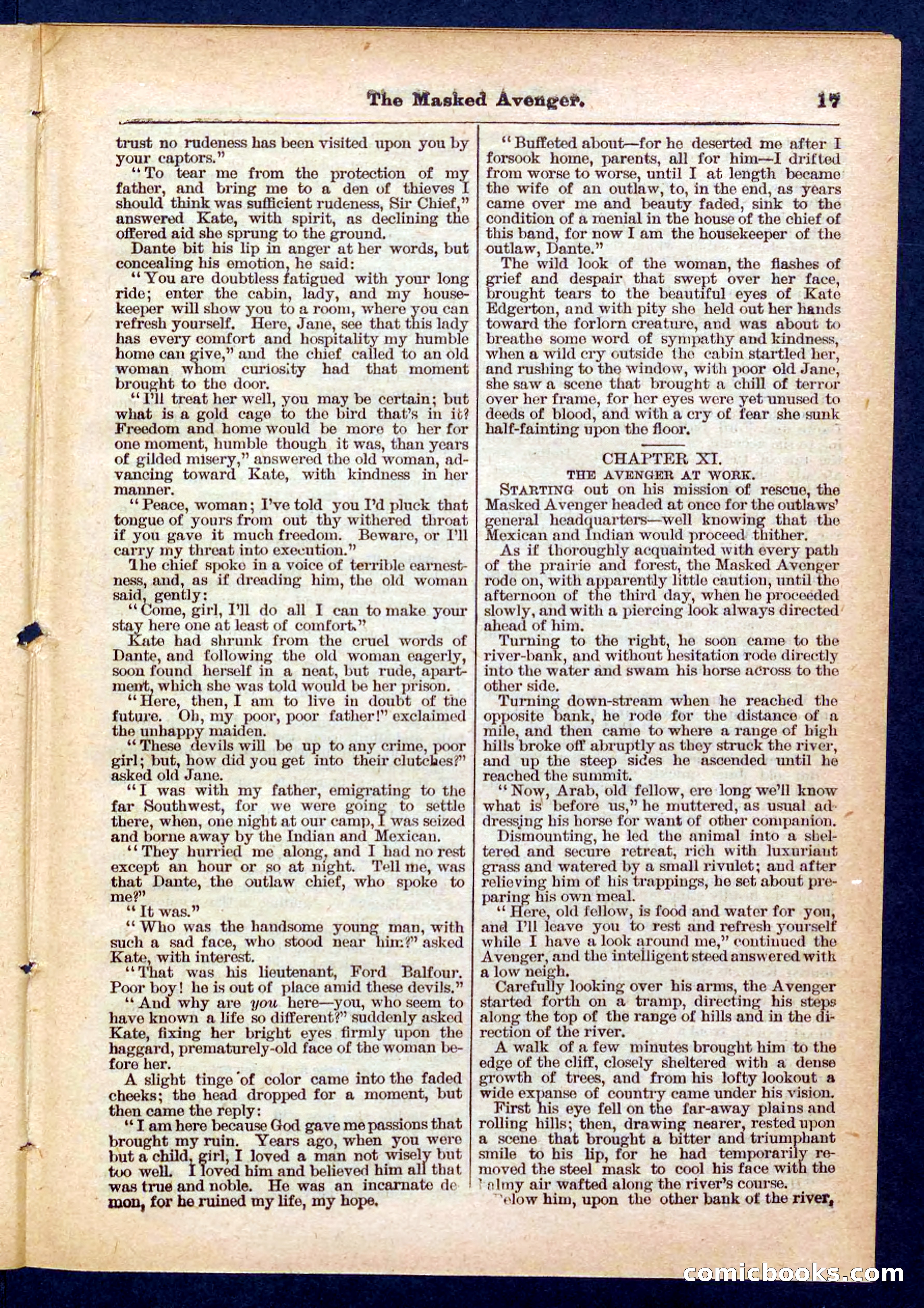 Beadle's Pocket Library No. 443 — page 17 of 32