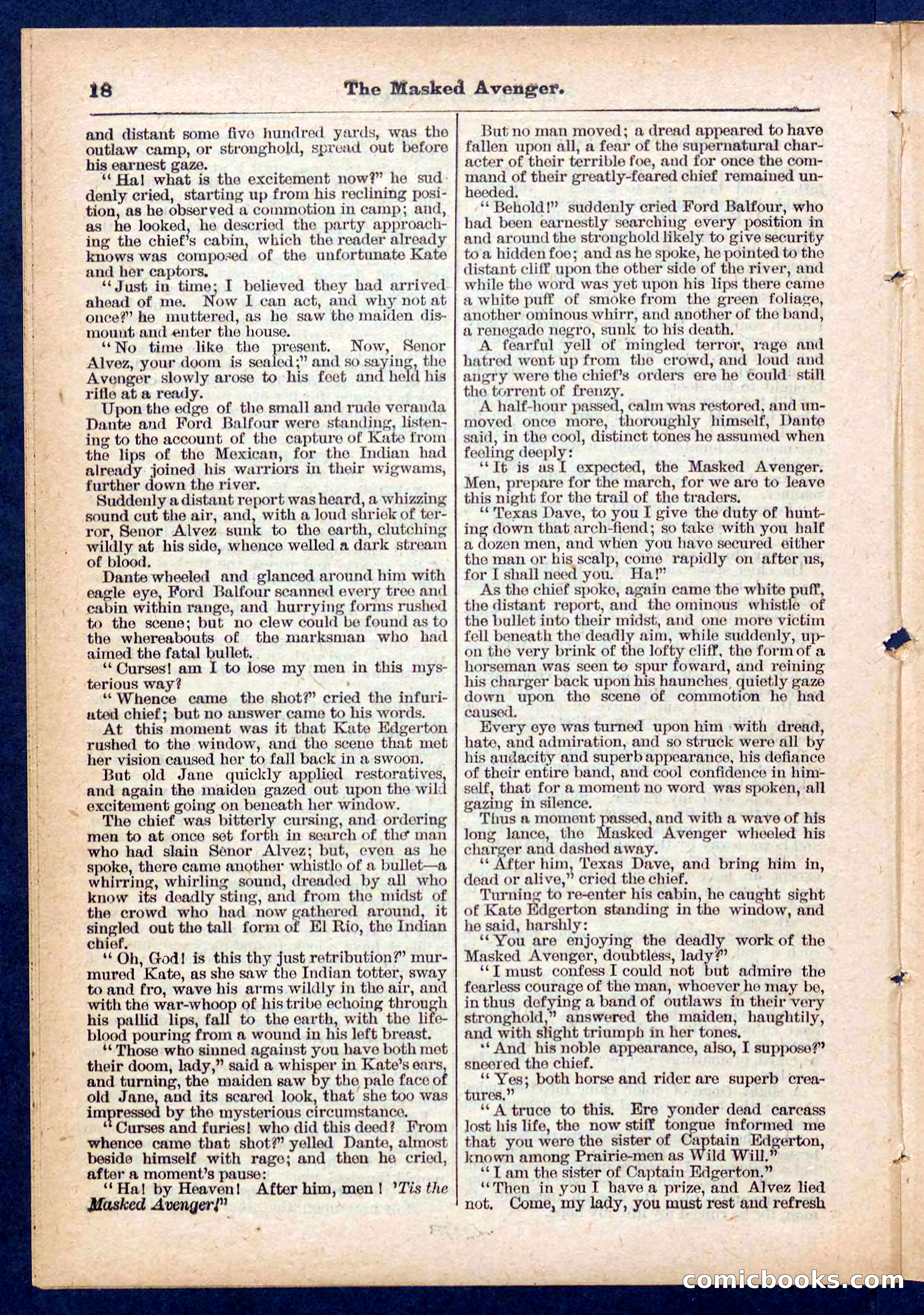 Beadle's Pocket Library No. 443 — page 18 of 32
