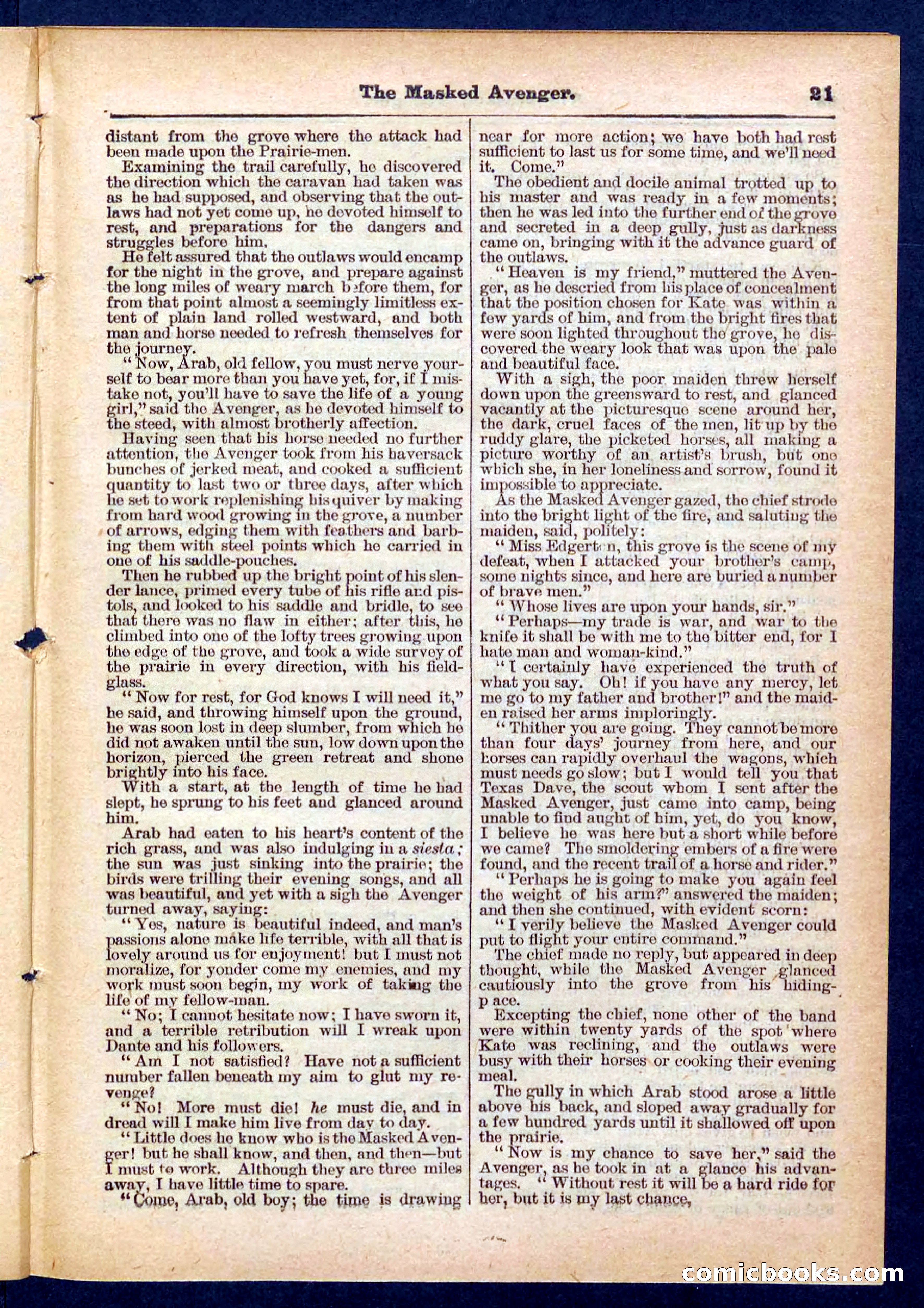 Beadle's Pocket Library No. 443 — page 21 of 32