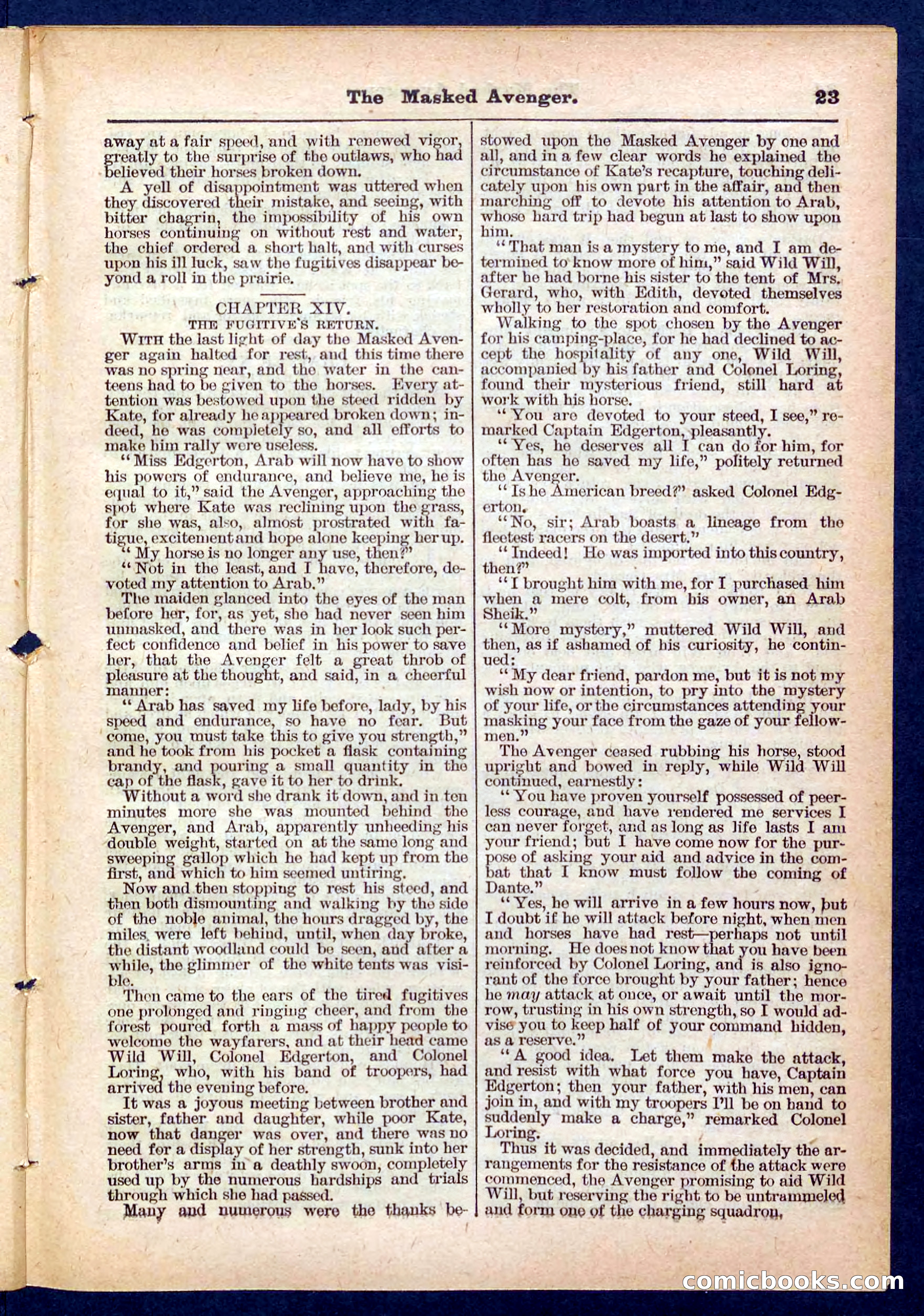 Beadle's Pocket Library No. 443 — page 23 of 32