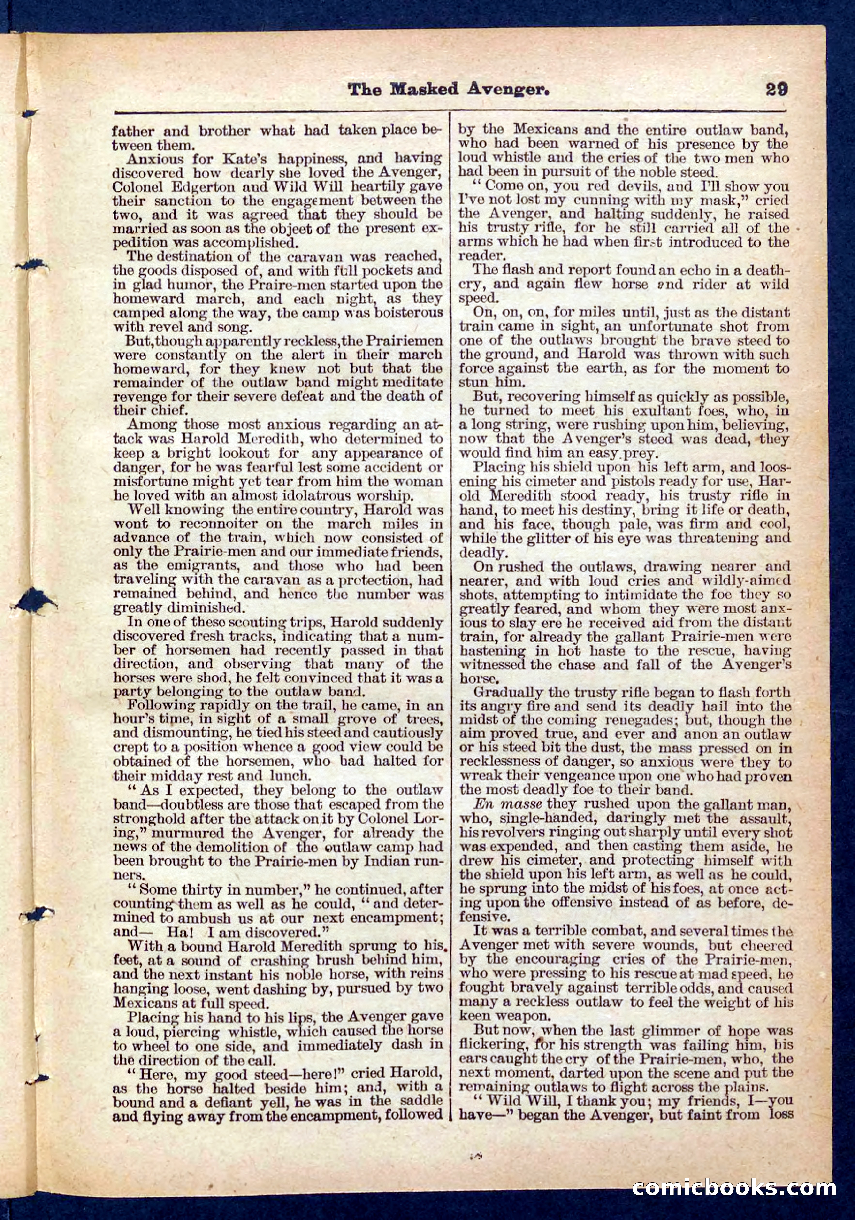 Beadle's Pocket Library No. 443 — page 29 of 32