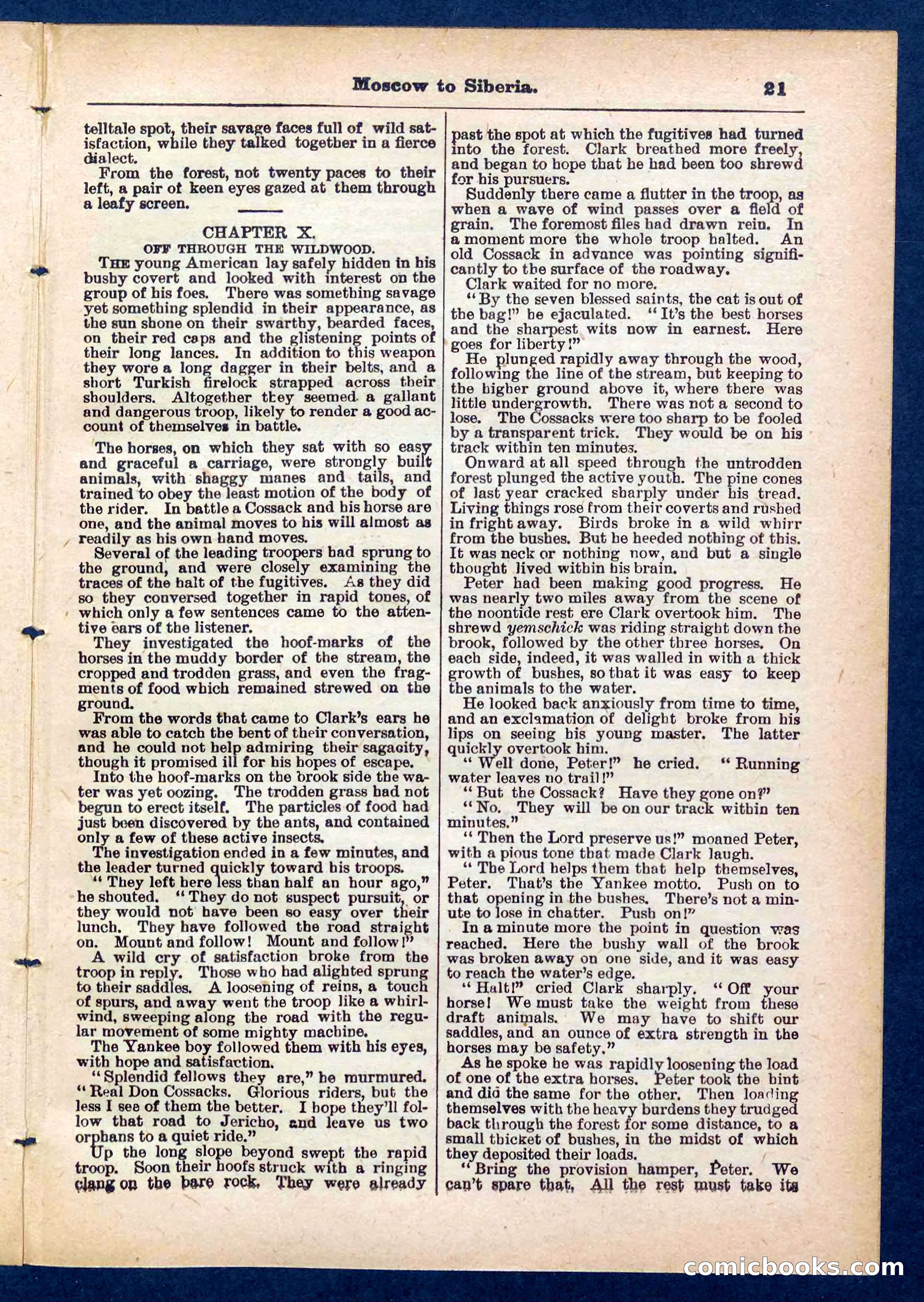 Beadle's Pocket Library No. 444 — page 21 of 32