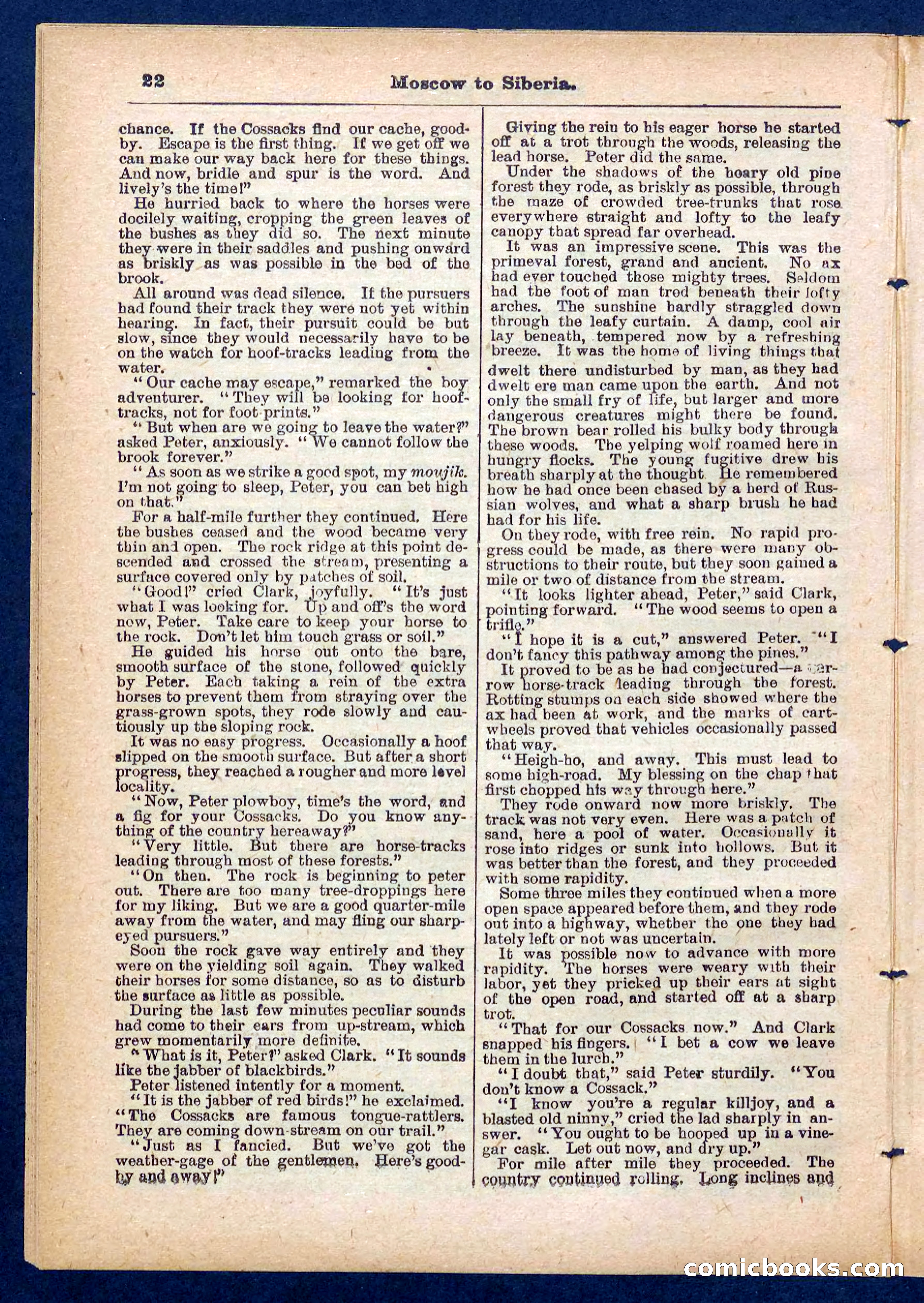 Beadle's Pocket Library No. 444 — page 22 of 32
