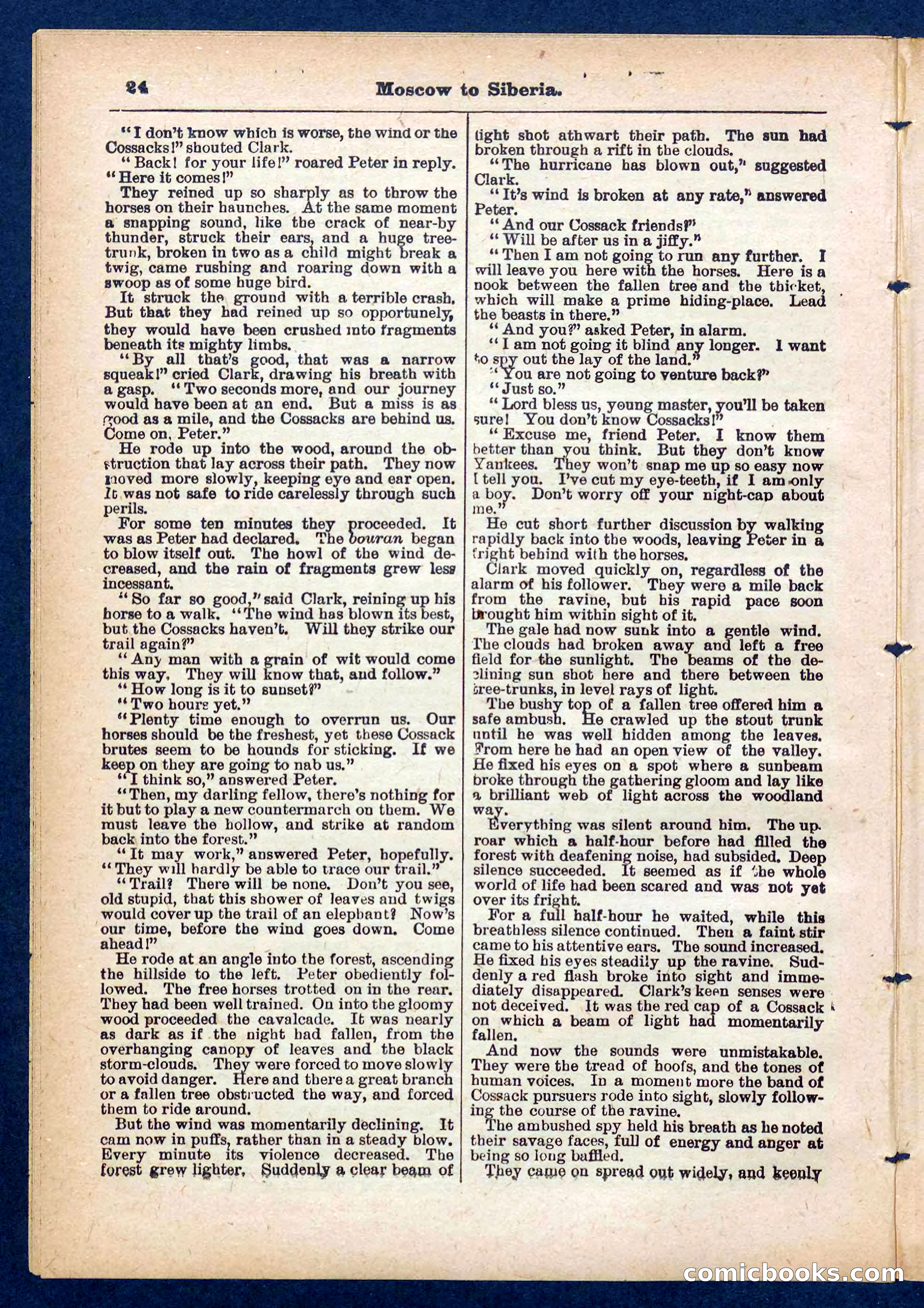Beadle's Pocket Library No. 444 — page 24 of 32