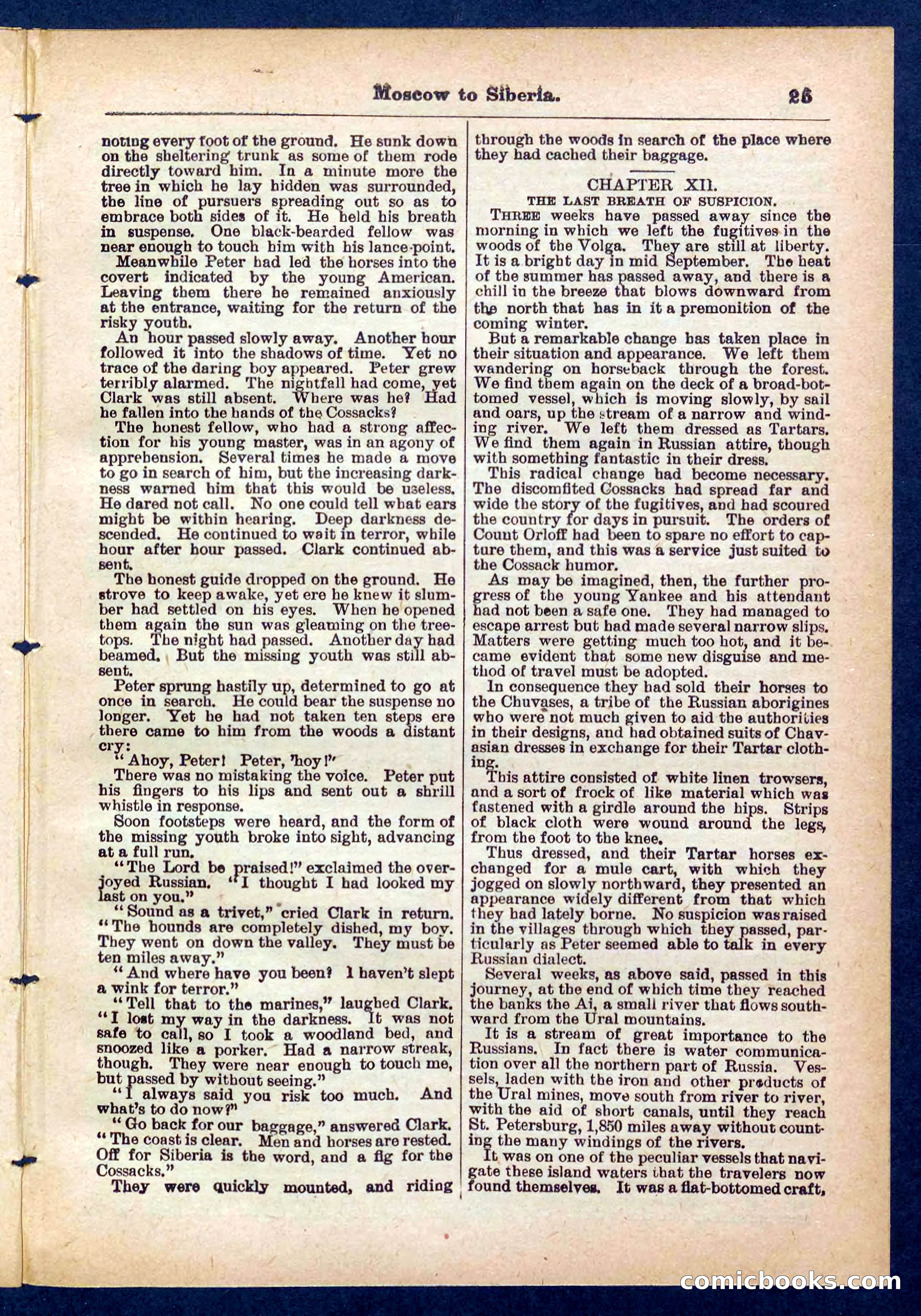 Beadle's Pocket Library No. 444 — page 25 of 32