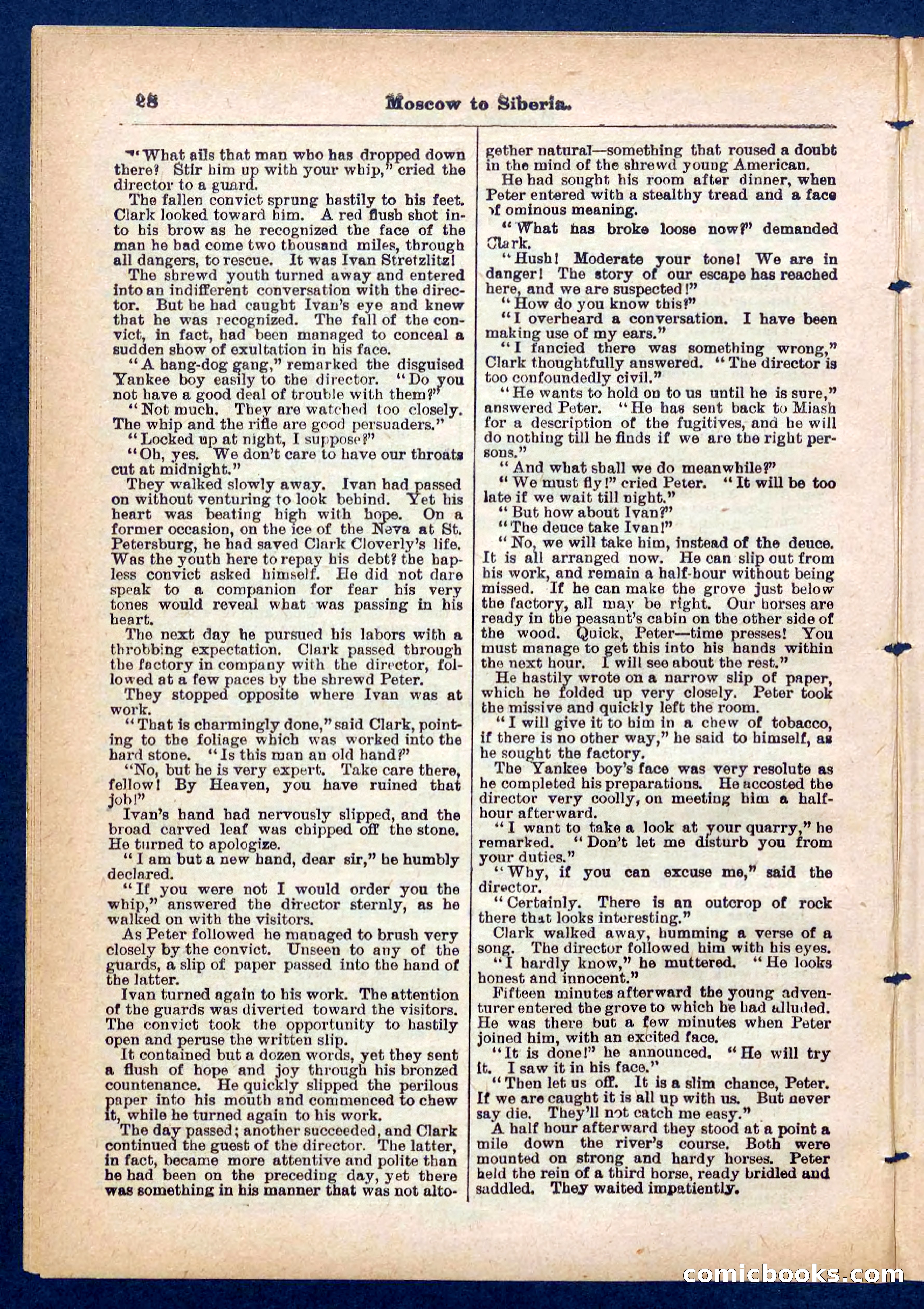 Beadle's Pocket Library No. 444 — page 28 of 32