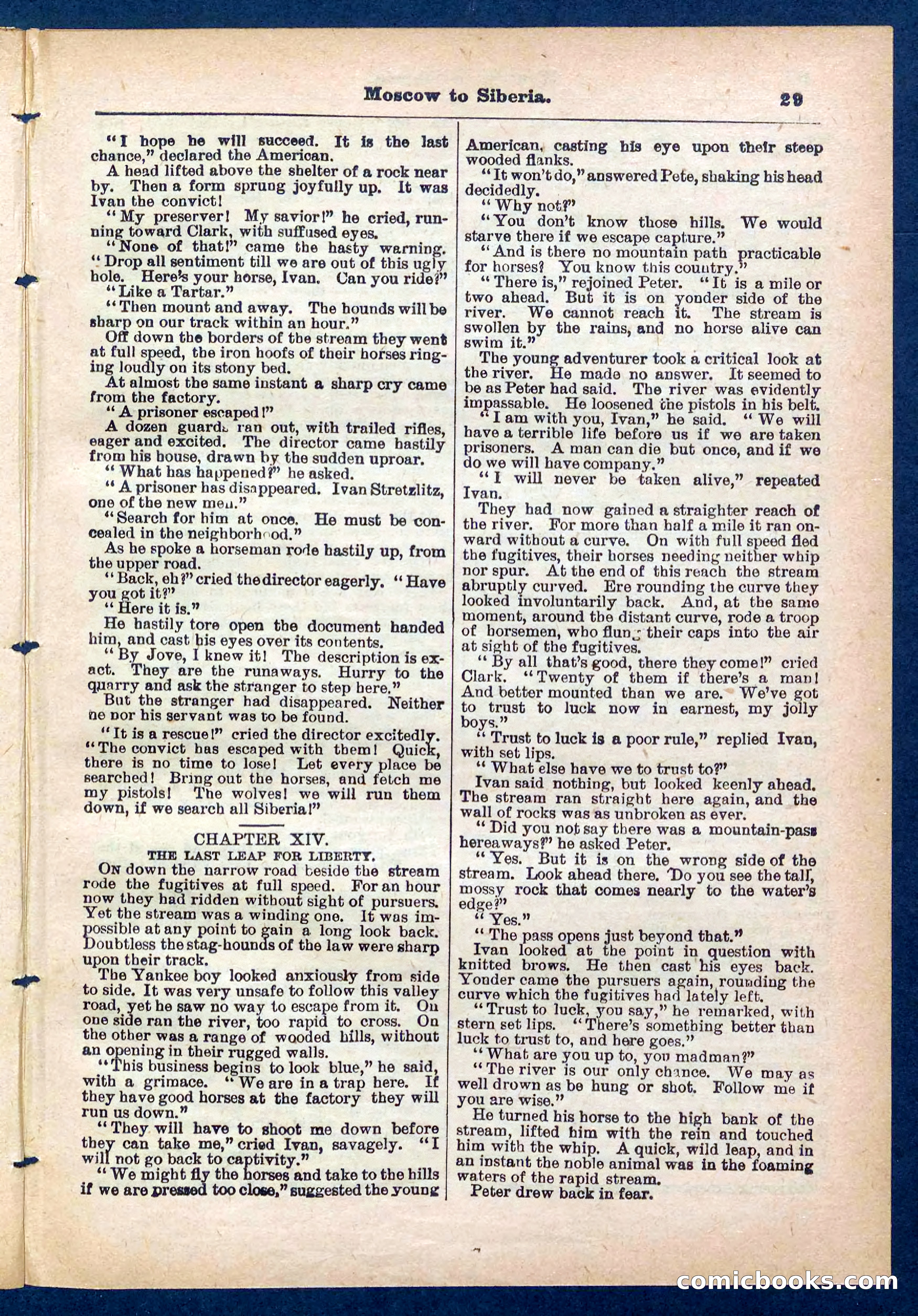 Beadle's Pocket Library No. 444 — page 29 of 32