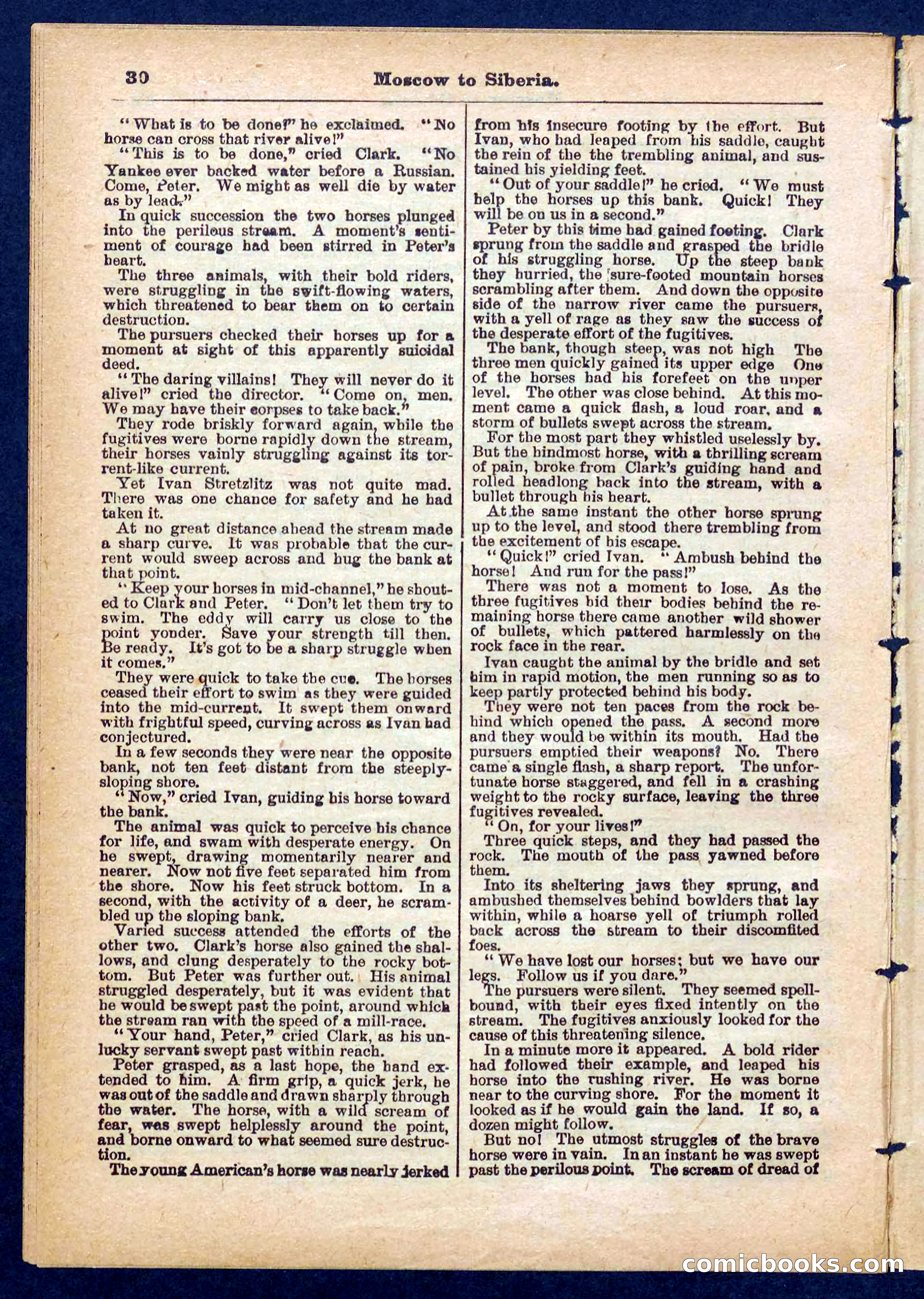 Beadle's Pocket Library No. 444 — page 30 of 32