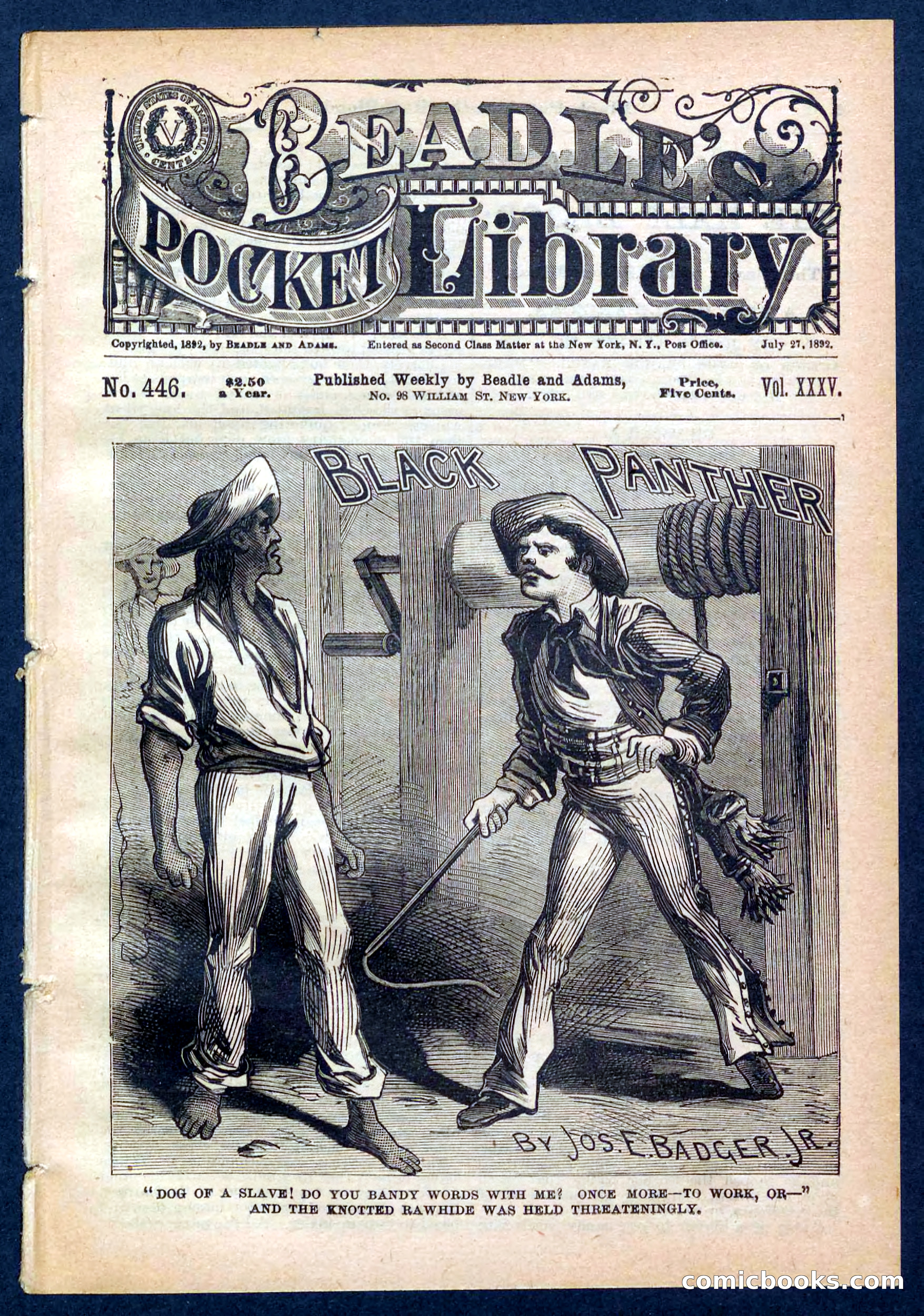 Beadle's Pocket Library No. 446