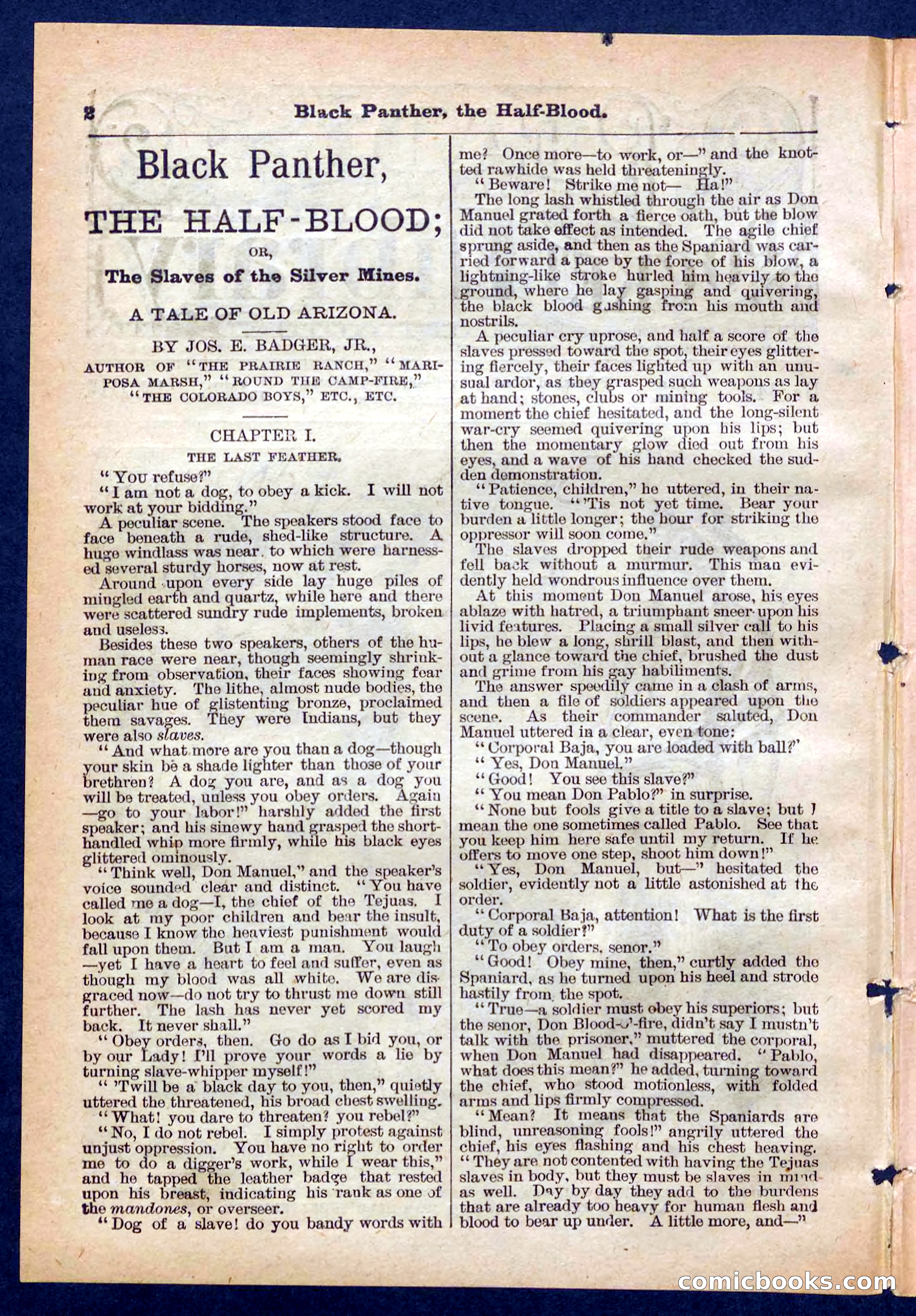 Beadle's Pocket Library No. 446 — page 2 of 32