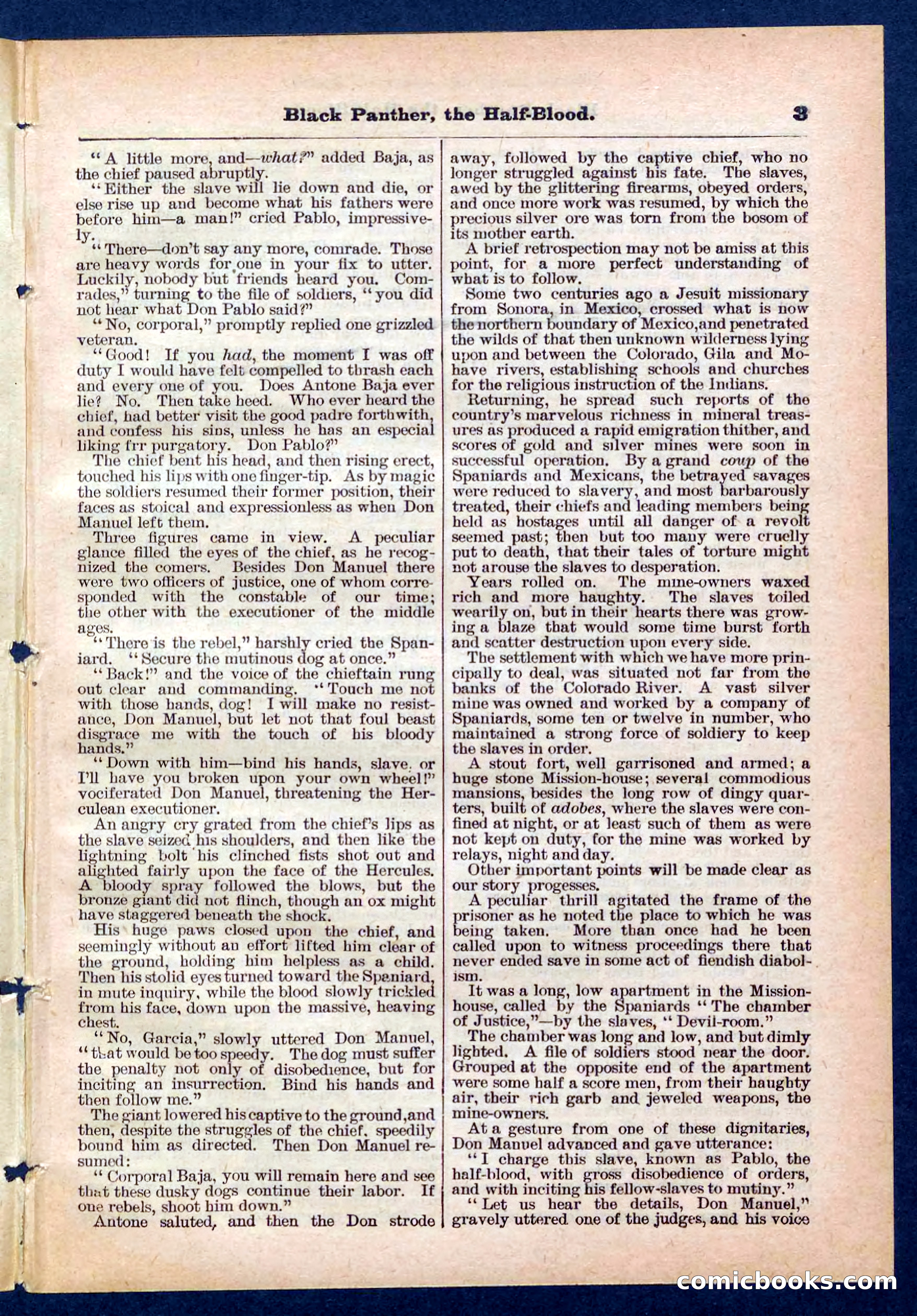 Beadle's Pocket Library No. 446 — page 3 of 32