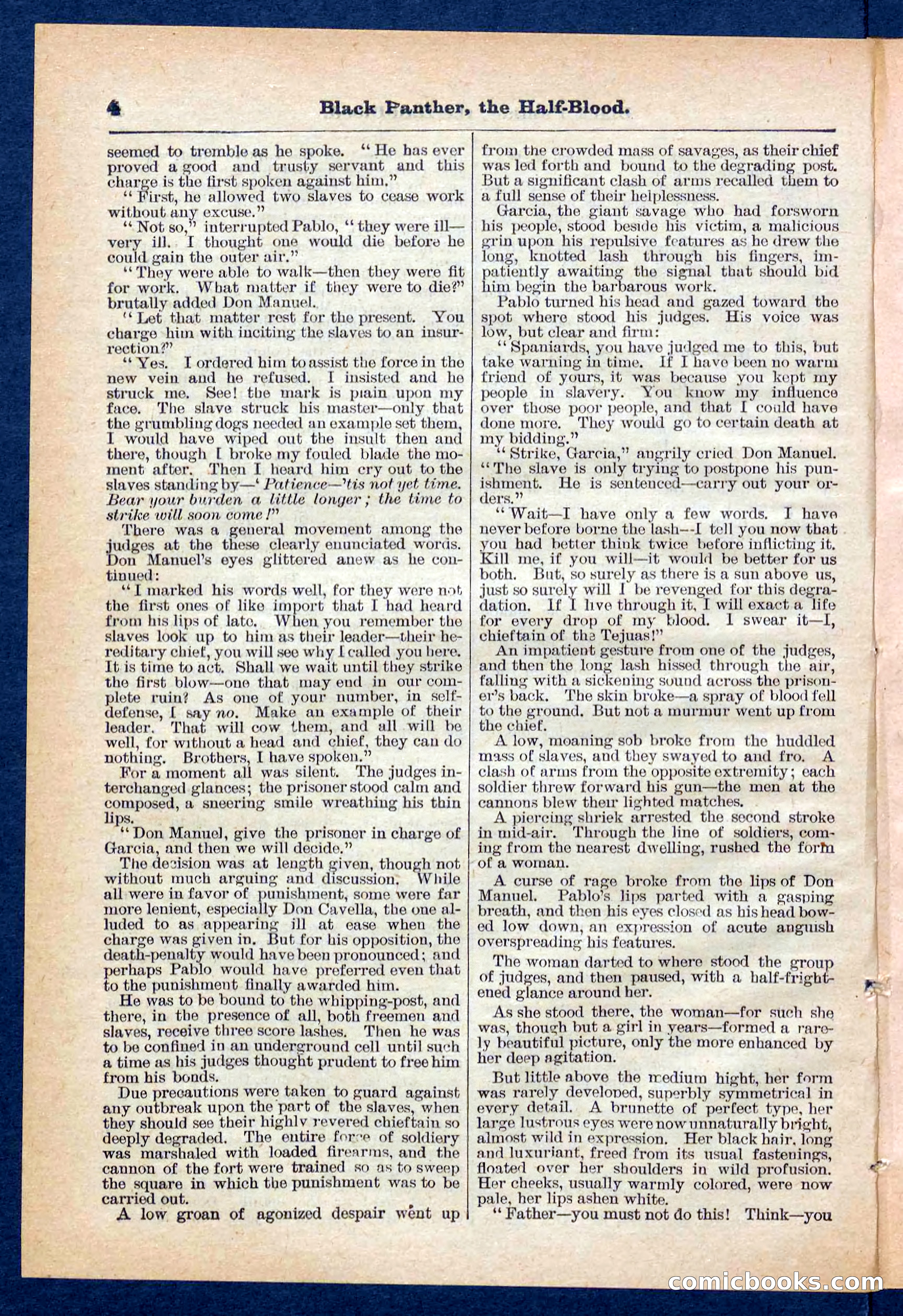 Beadle's Pocket Library No. 446 — page 4 of 32