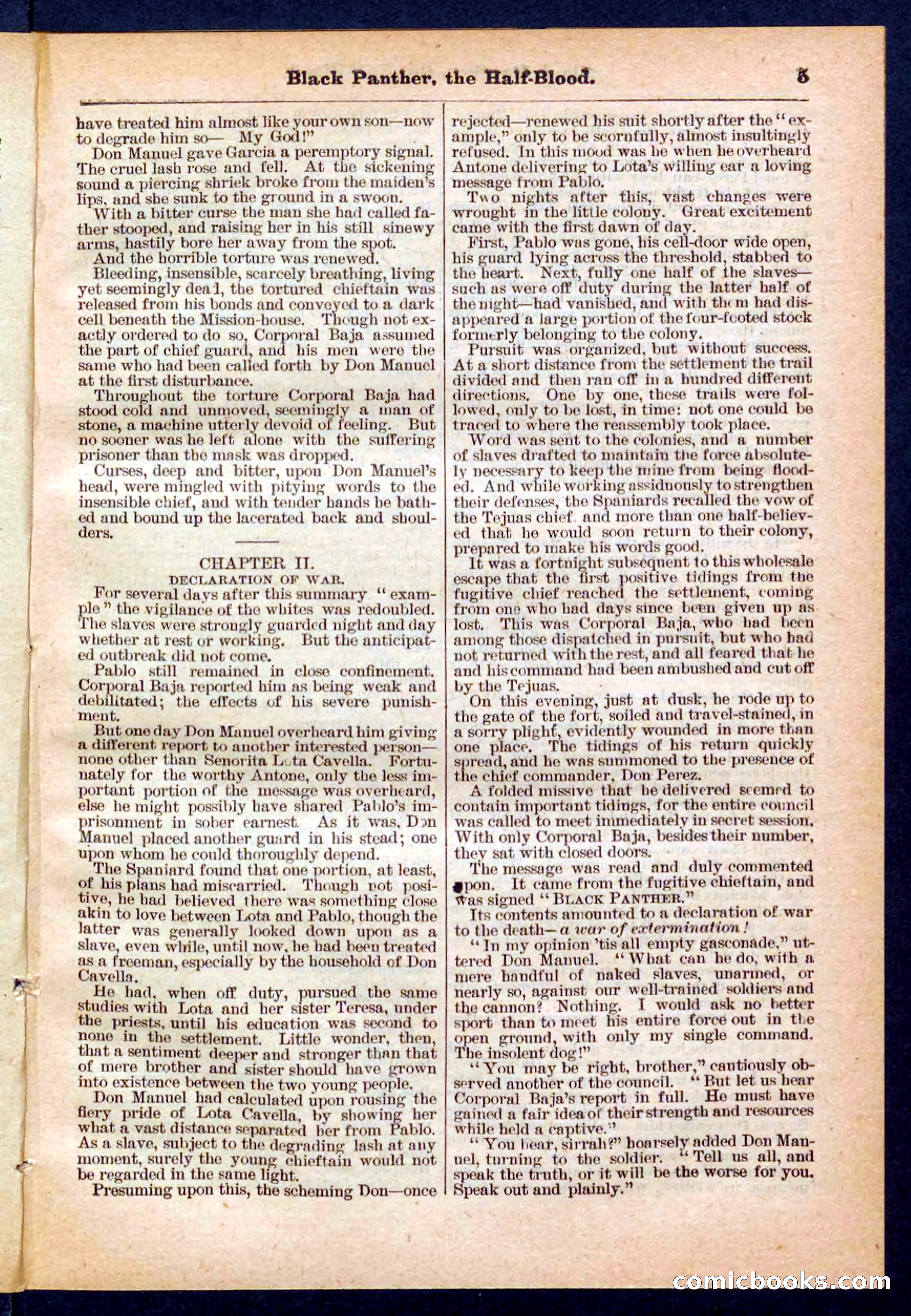 Beadle's Pocket Library No. 446 — page 5 of 32