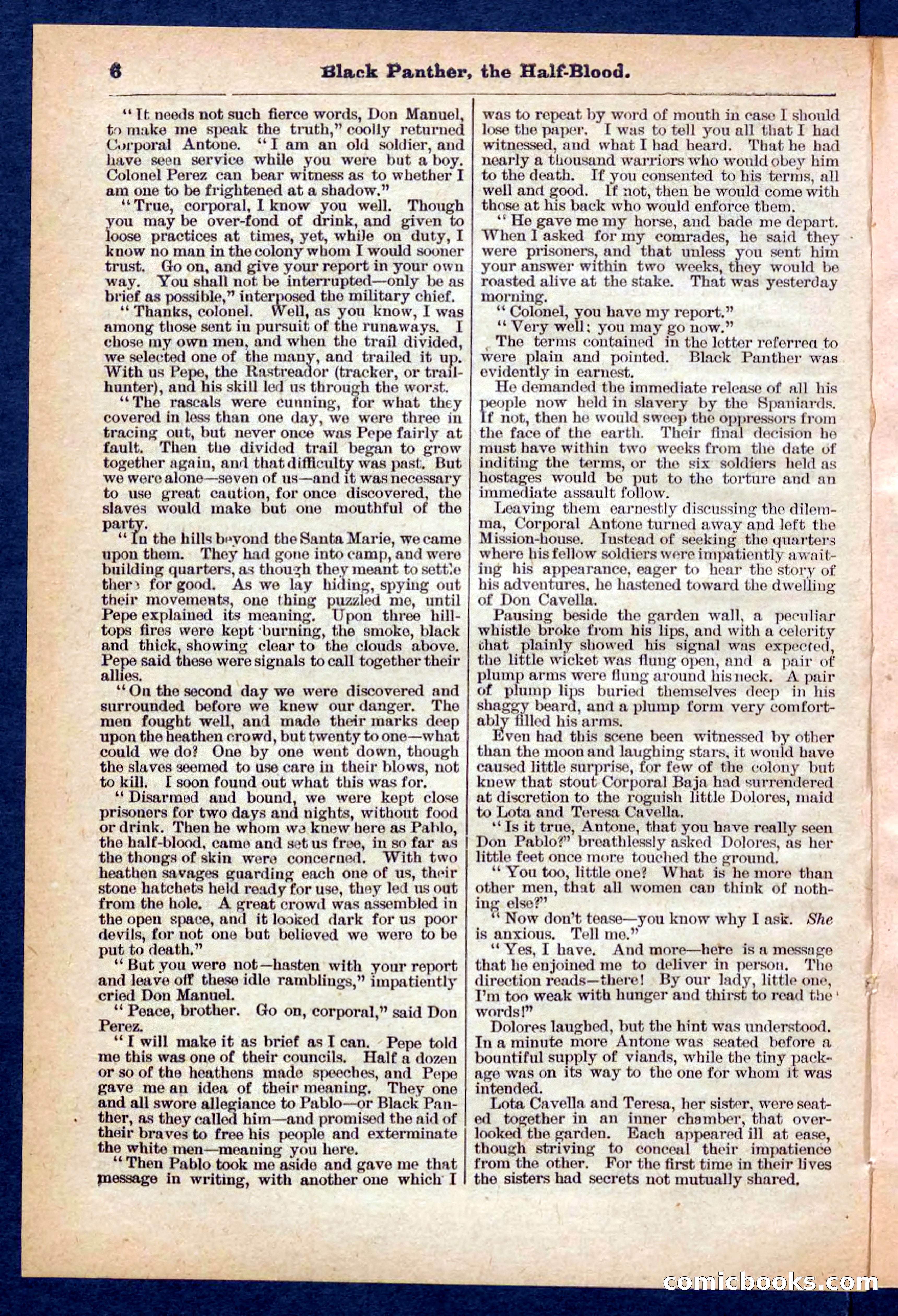 Beadle's Pocket Library No. 446 — page 6 of 32