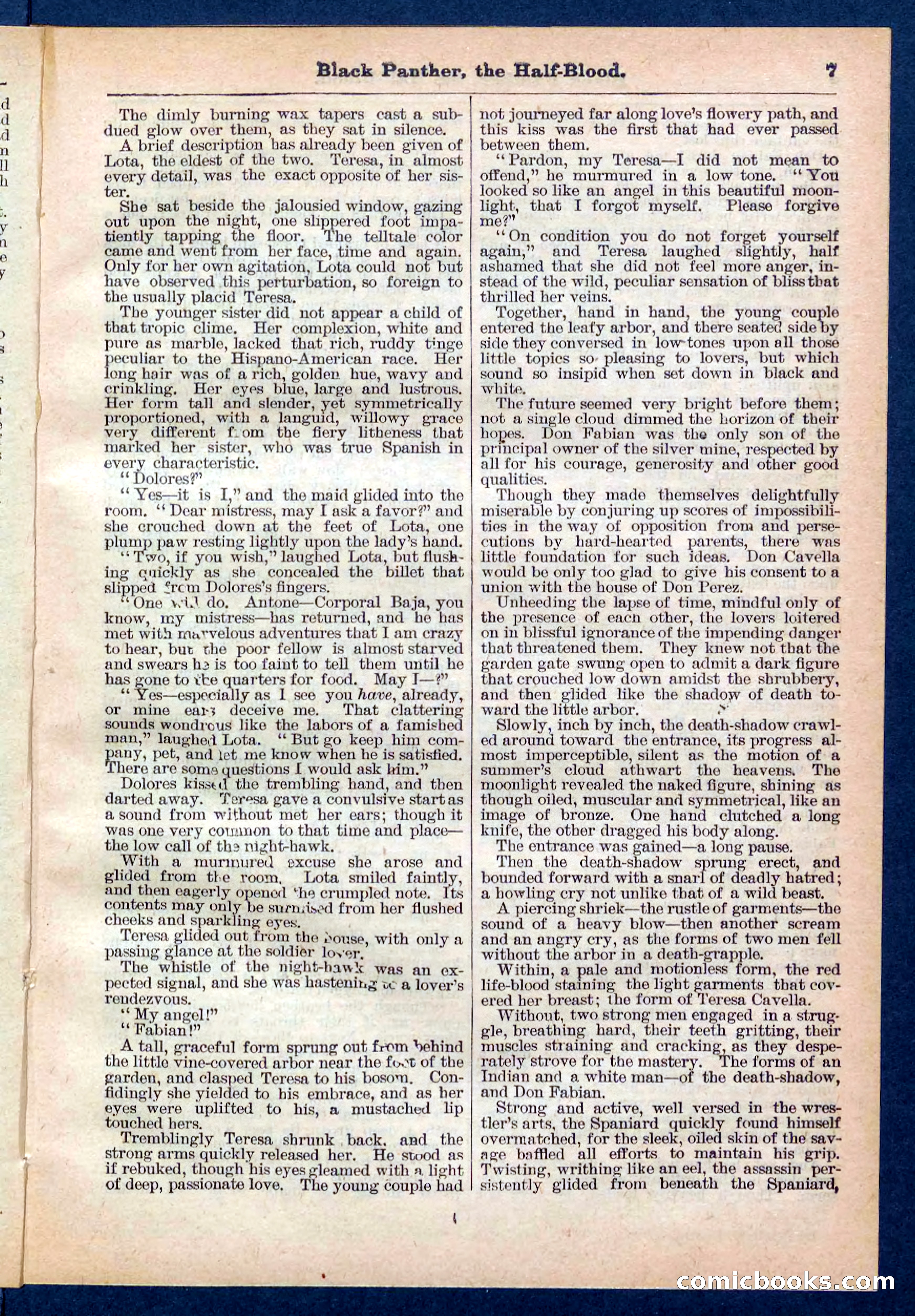 Beadle's Pocket Library No. 446 — page 7 of 32