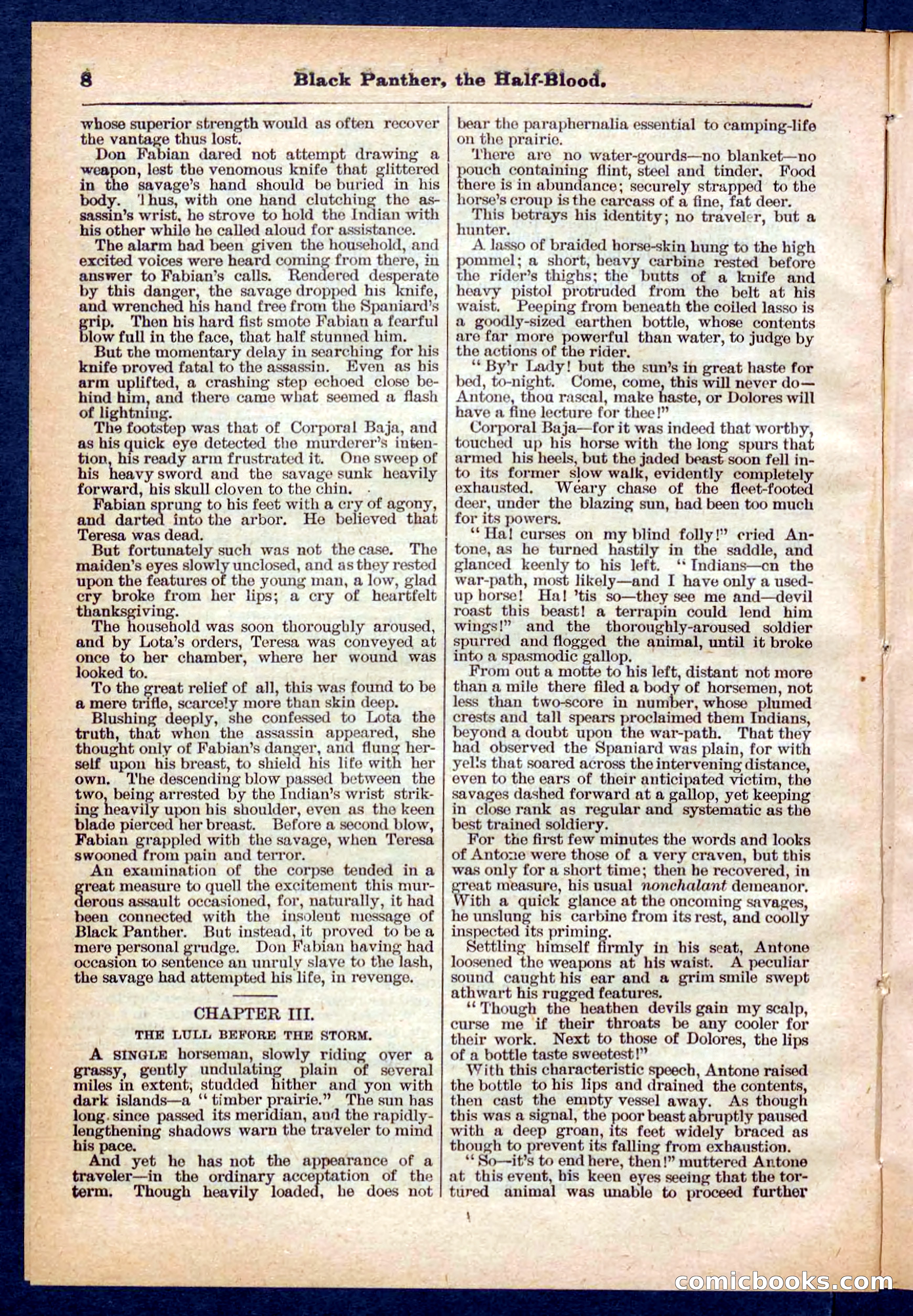 Beadle's Pocket Library No. 446 — page 8 of 32