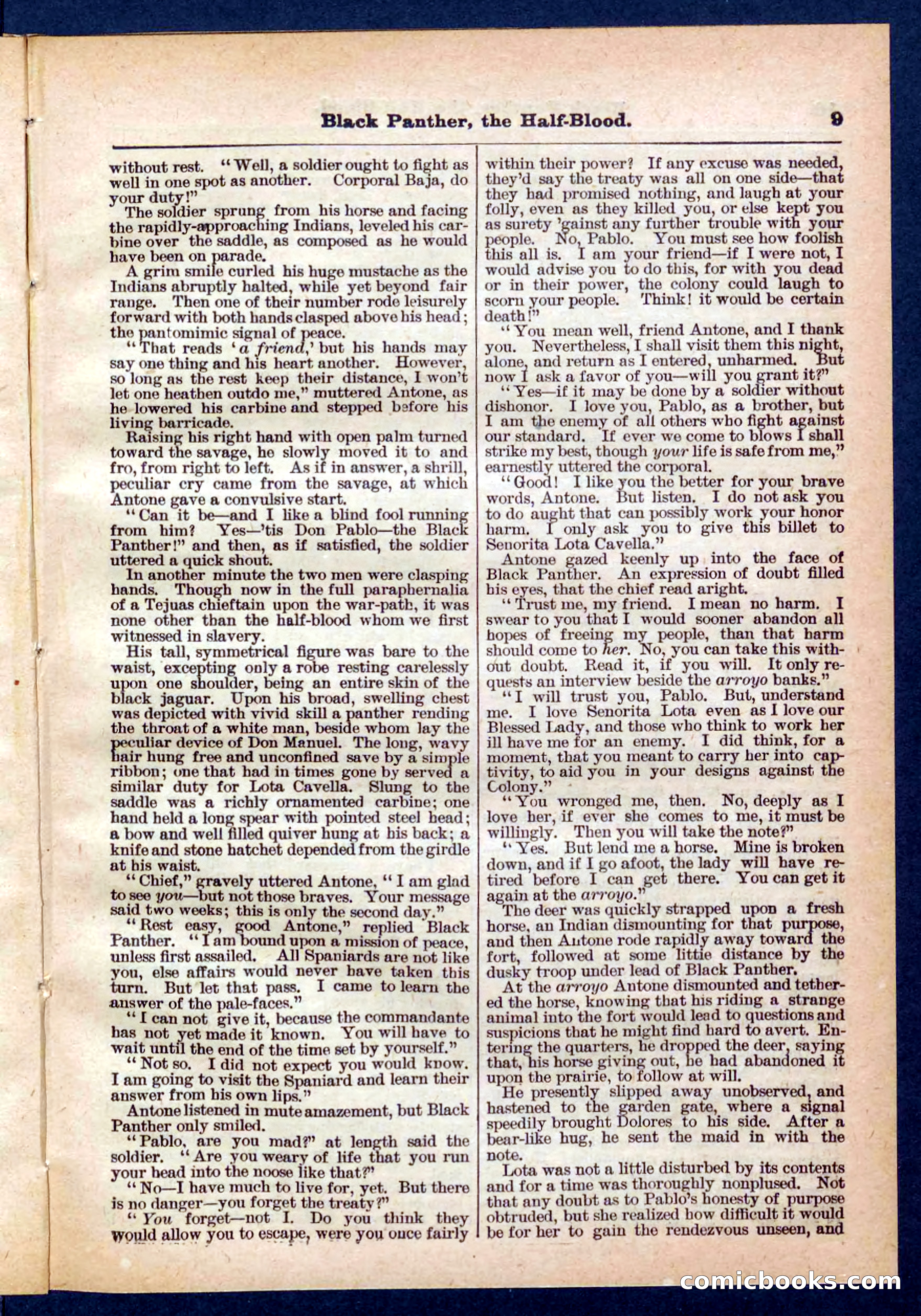 Beadle's Pocket Library No. 446 — page 9 of 32