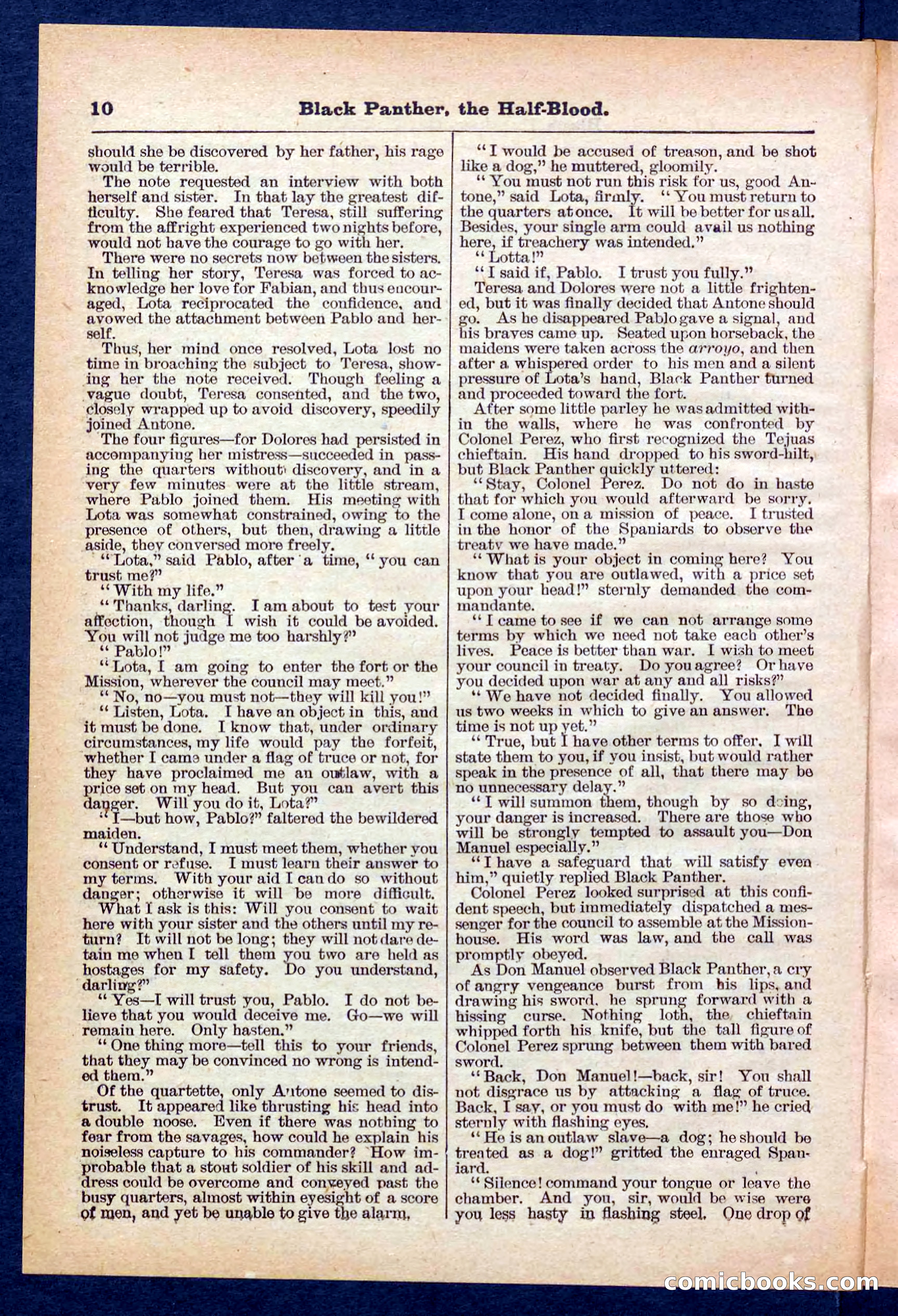 Beadle's Pocket Library No. 446 — page 10 of 32
