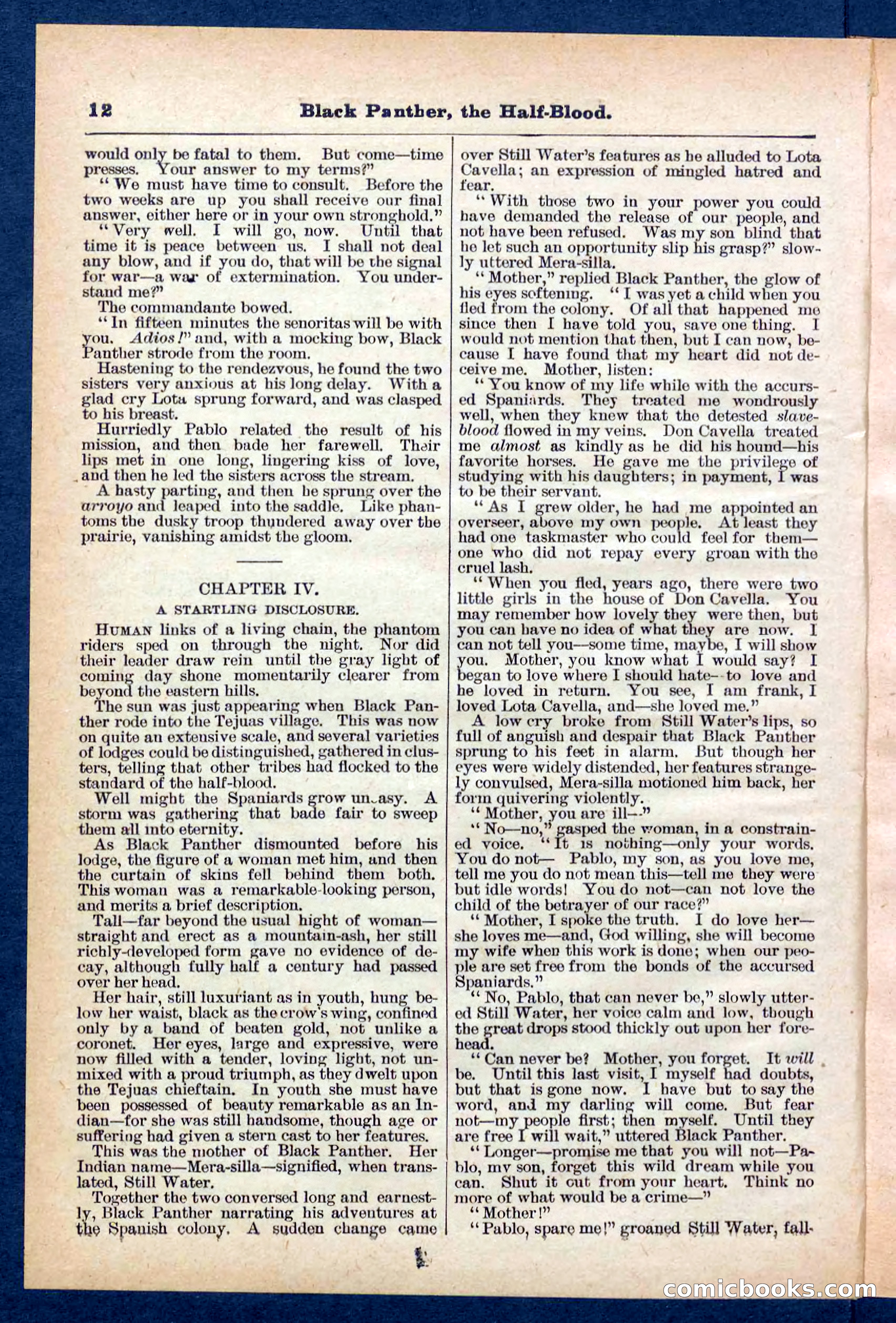 Beadle's Pocket Library No. 446 — page 12 of 32