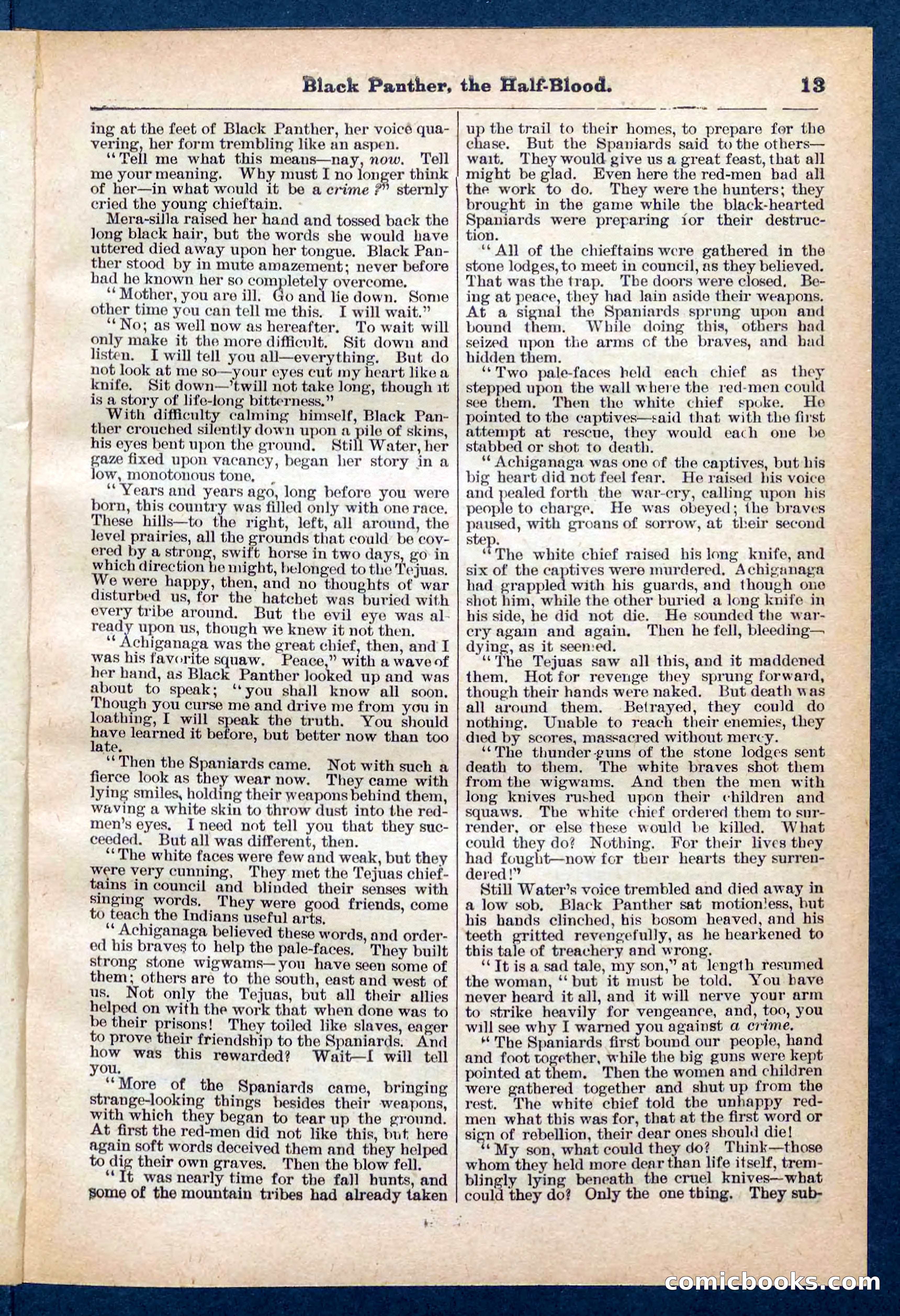 Beadle's Pocket Library No. 446 — page 13 of 32