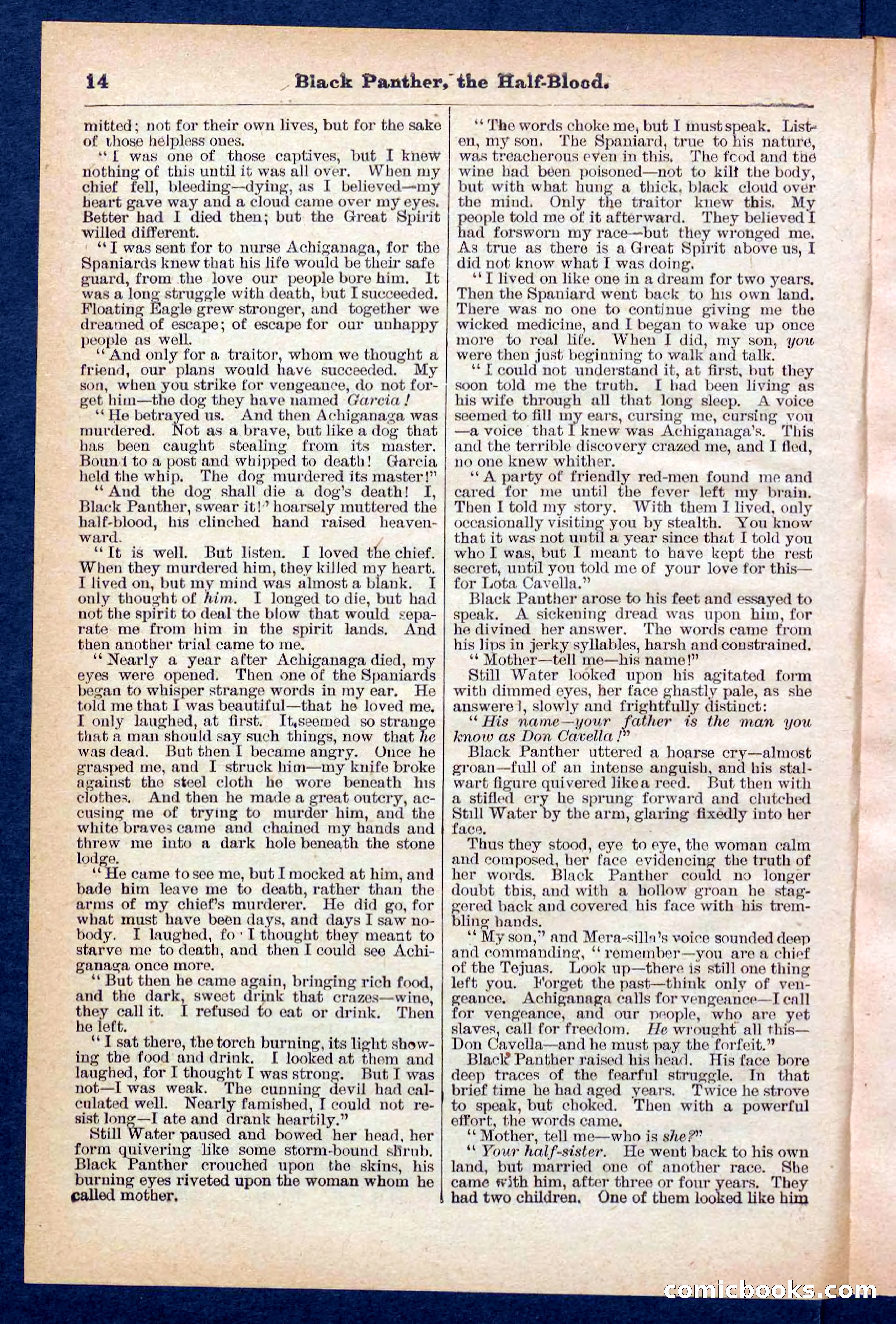Beadle's Pocket Library No. 446 — page 14 of 32