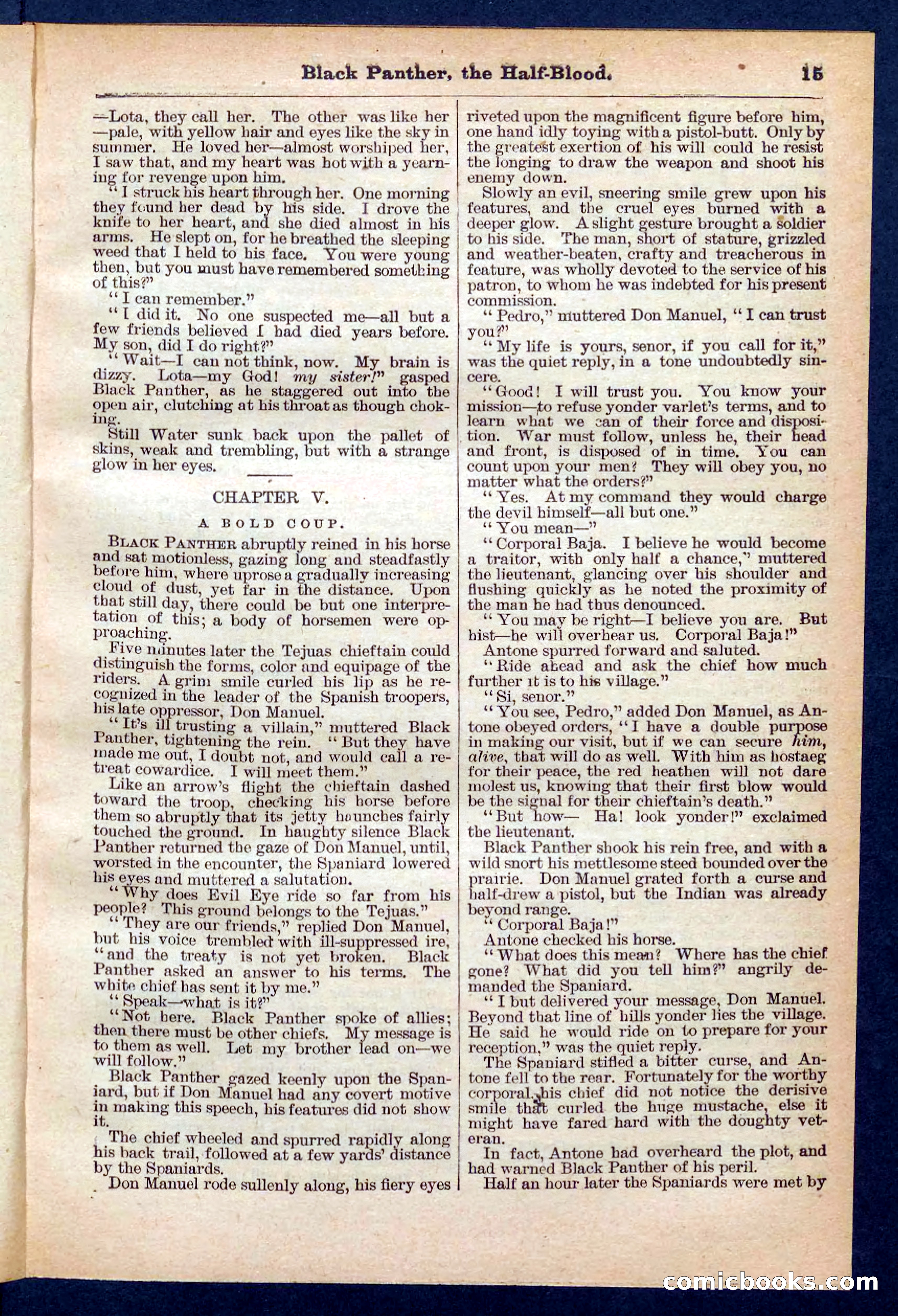 Beadle's Pocket Library No. 446 — page 15 of 32