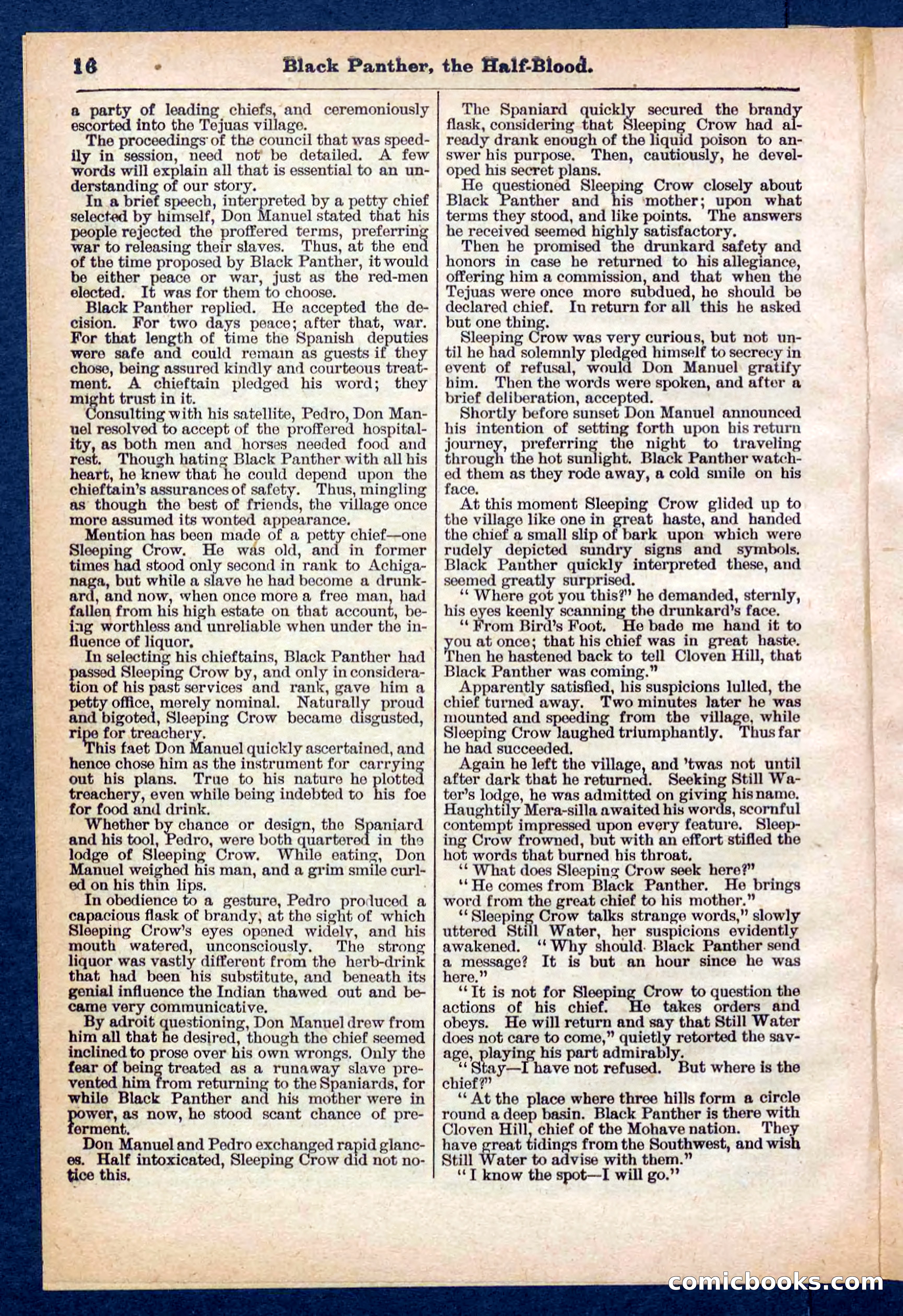 Beadle's Pocket Library No. 446 — page 16 of 32