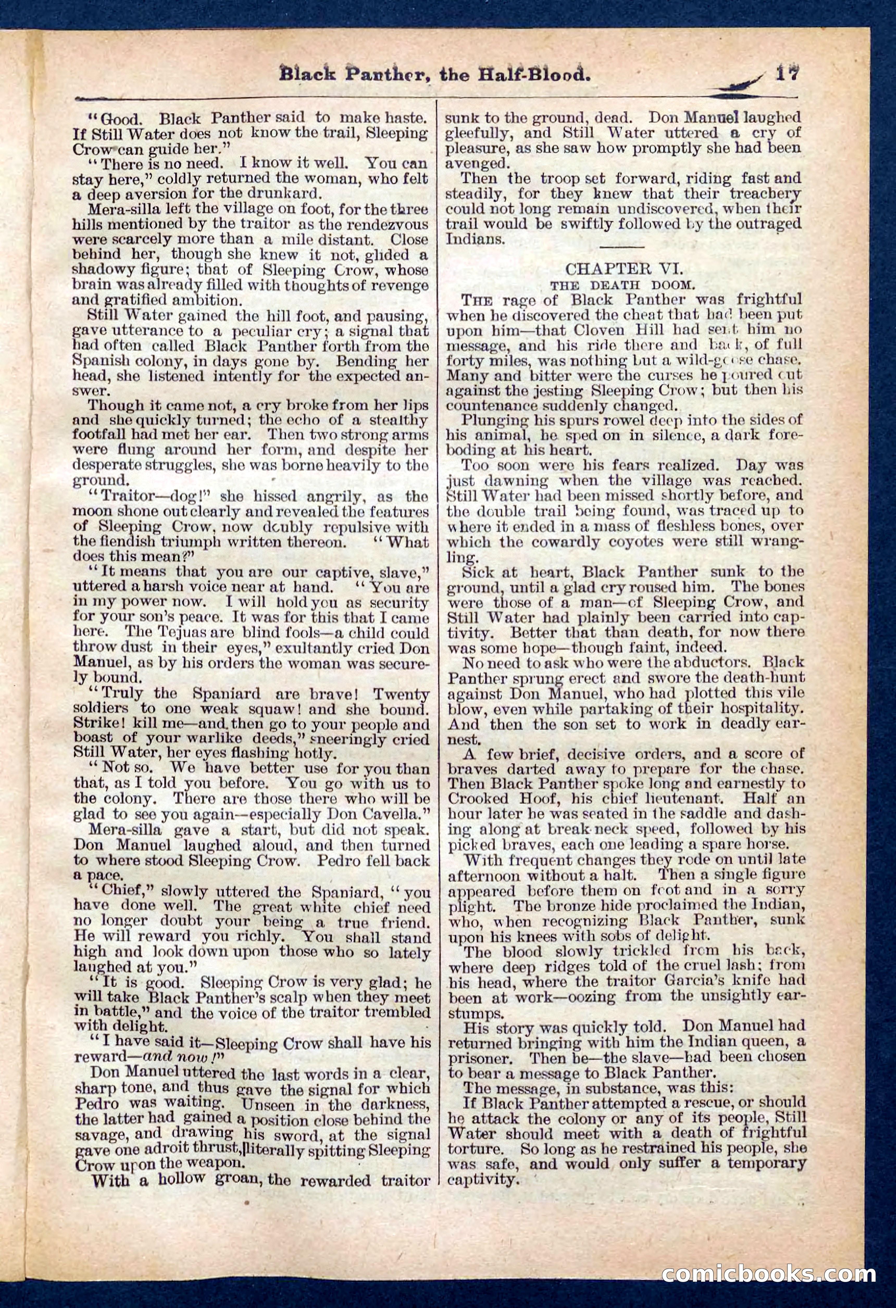 Beadle's Pocket Library No. 446 — page 17 of 32