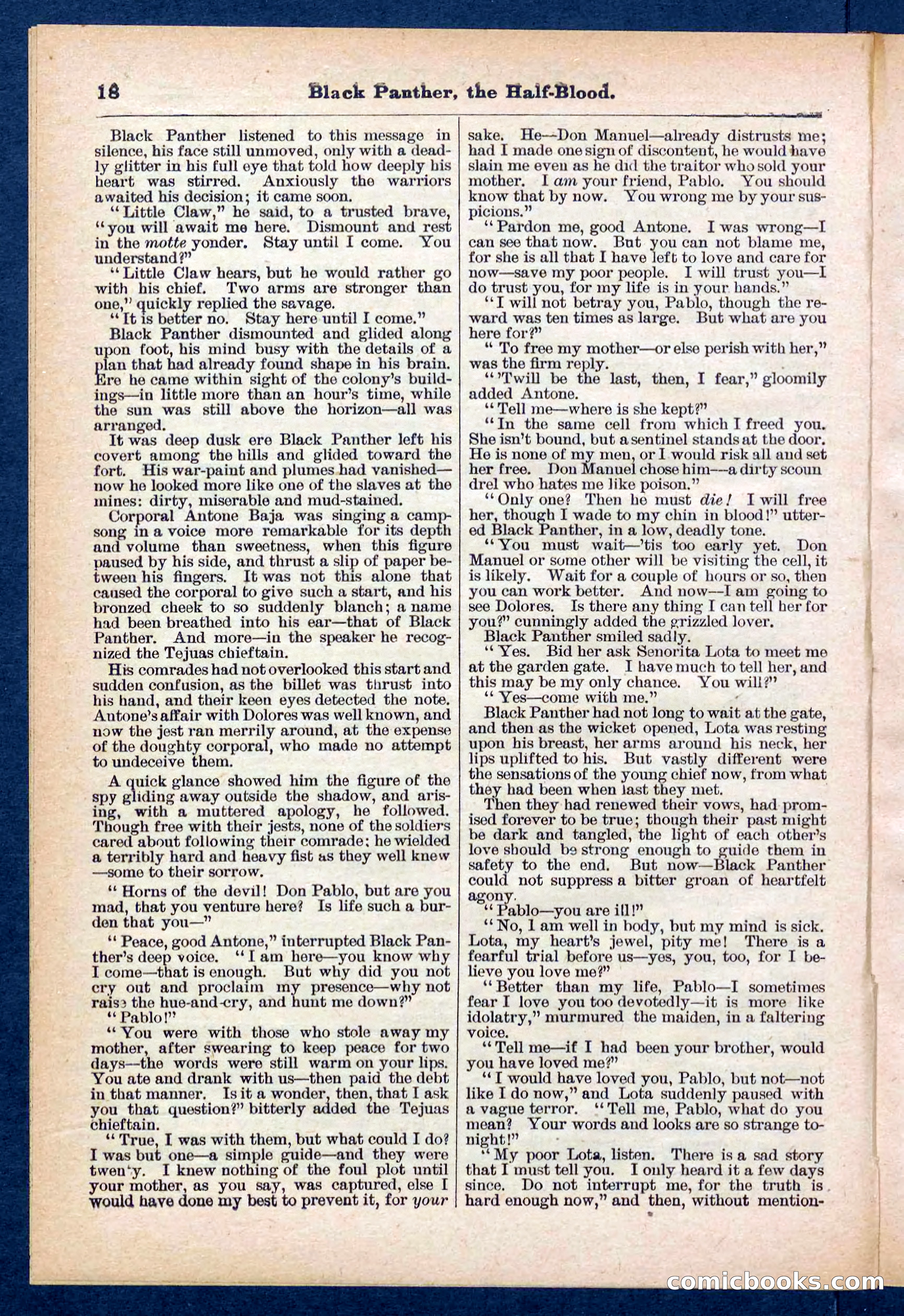Beadle's Pocket Library No. 446 — page 18 of 32