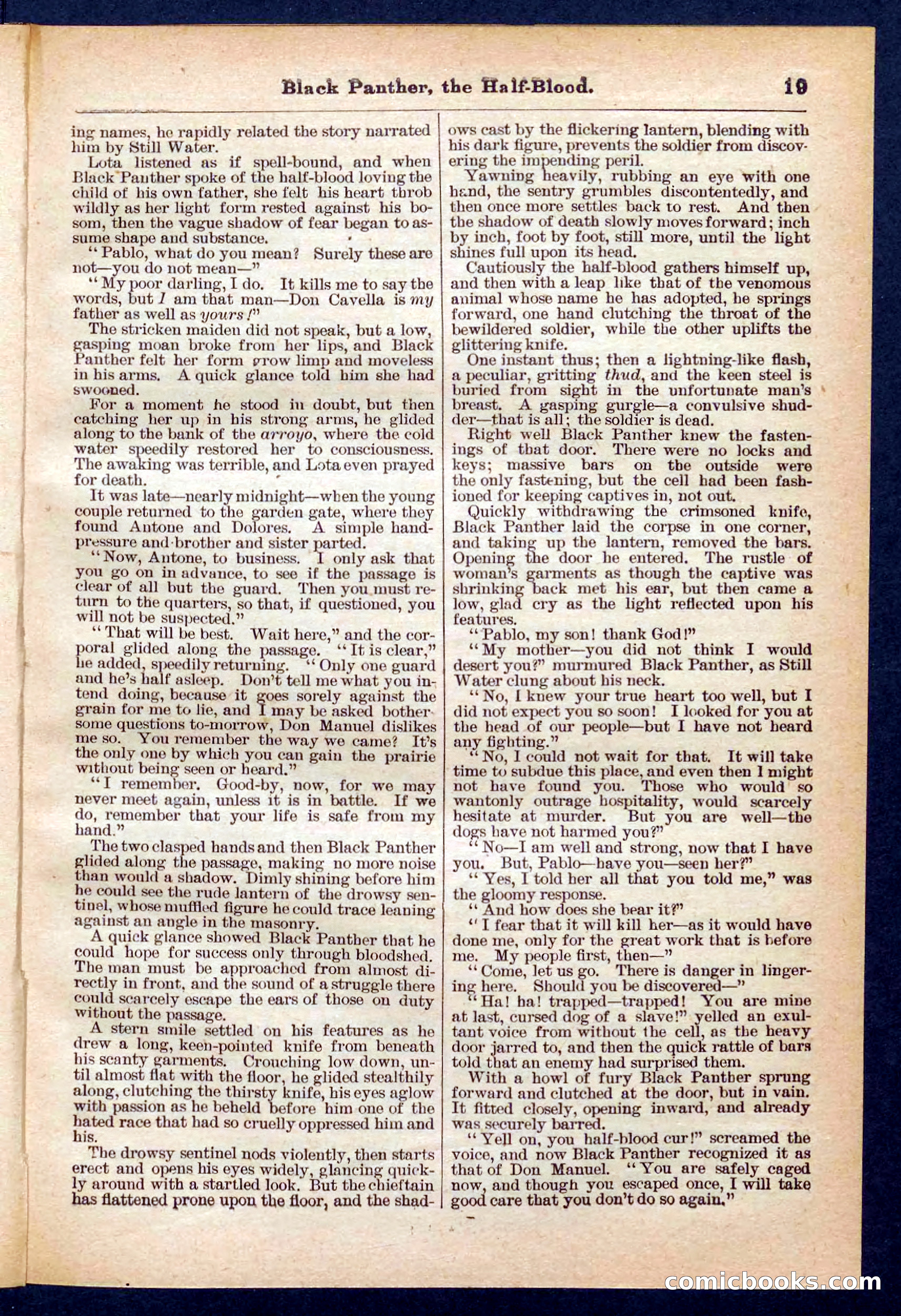 Beadle's Pocket Library No. 446 — page 19 of 32