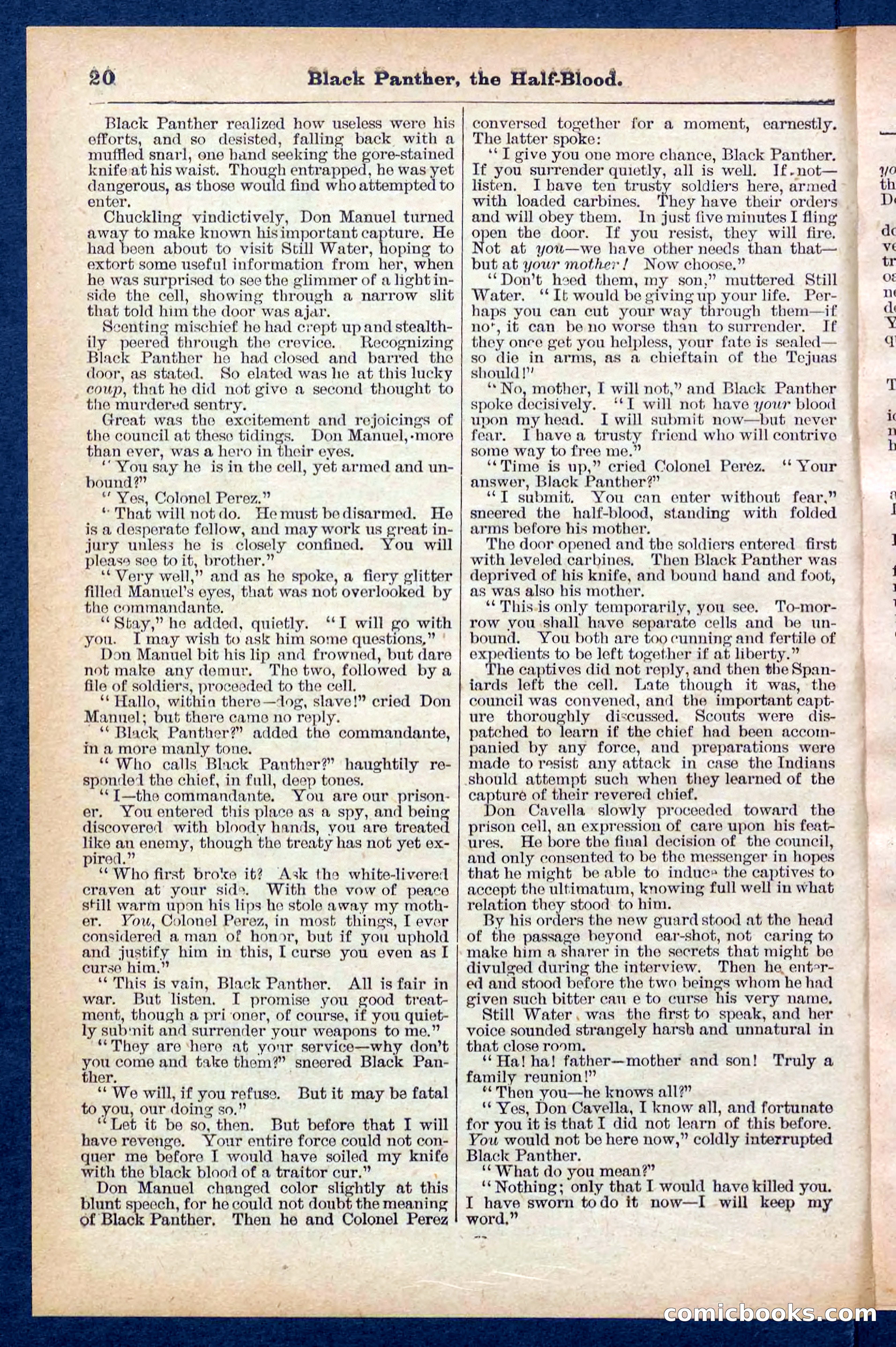 Beadle's Pocket Library No. 446 — page 20 of 32