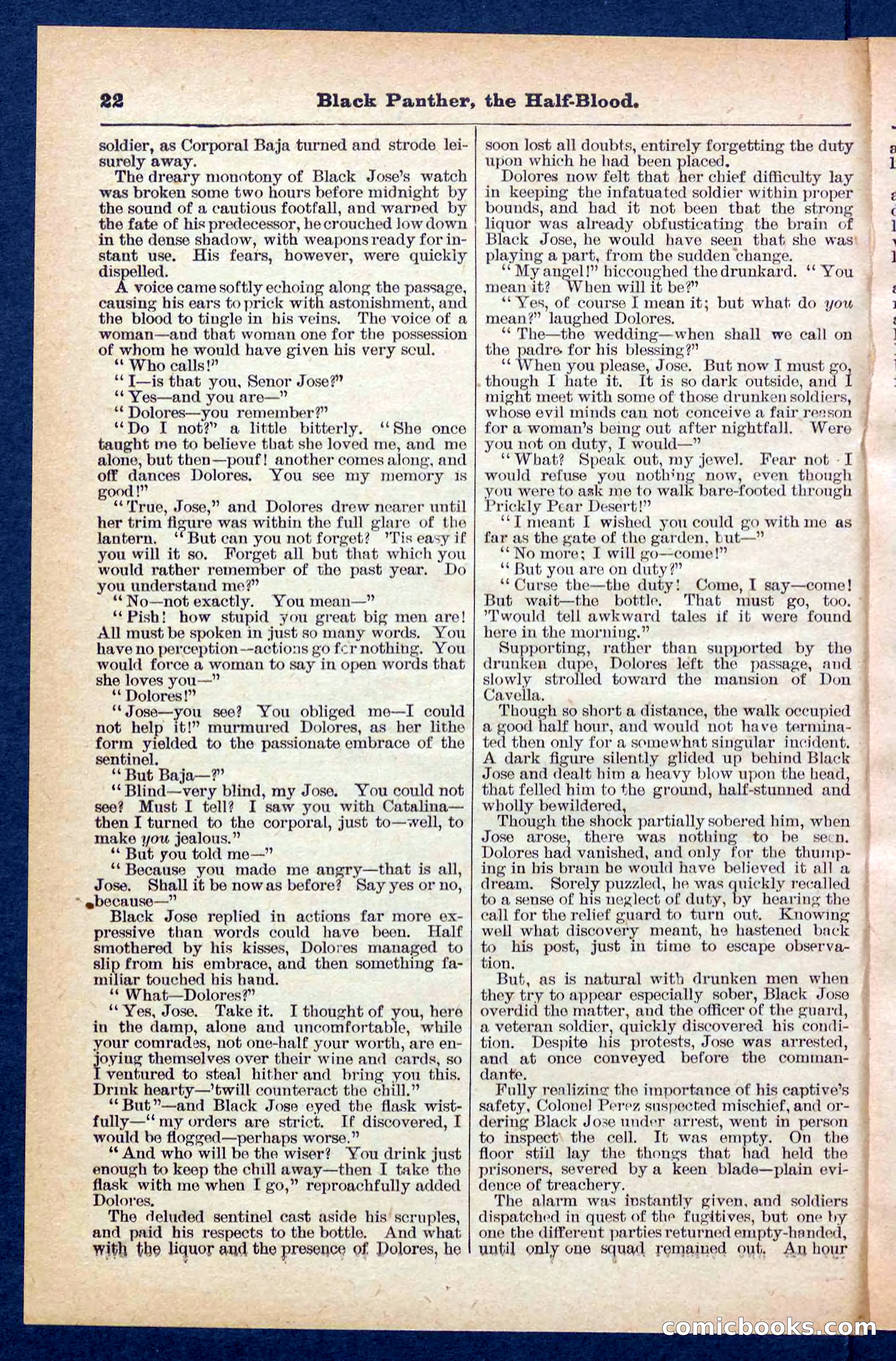 Beadle's Pocket Library No. 446 — page 22 of 32